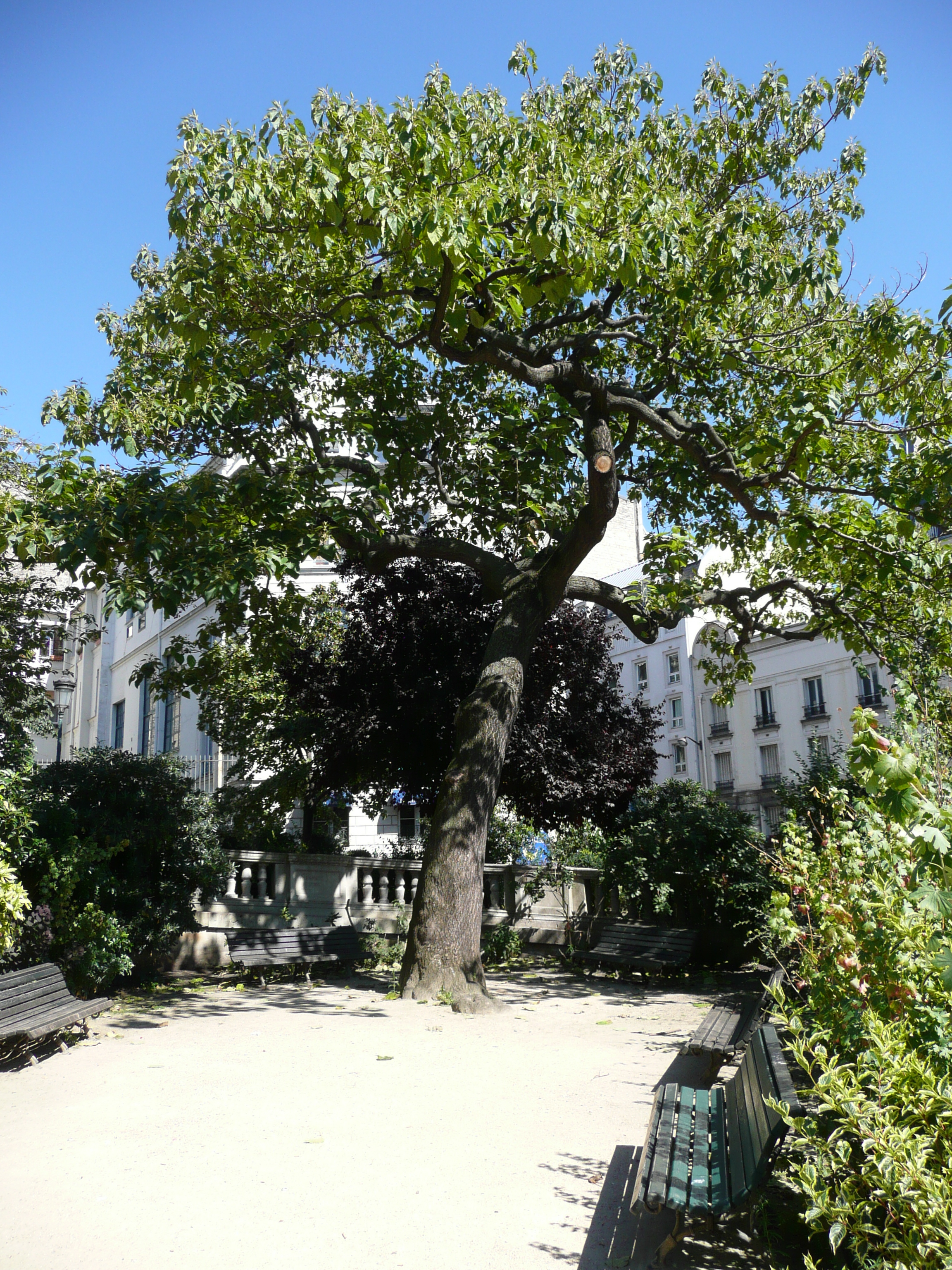 รูปถ่าย ฝรั่งเศส(France) ปารีส(Paris) ถนนลาฟาแย็ต(Rue La Fayette) 2007-08 147