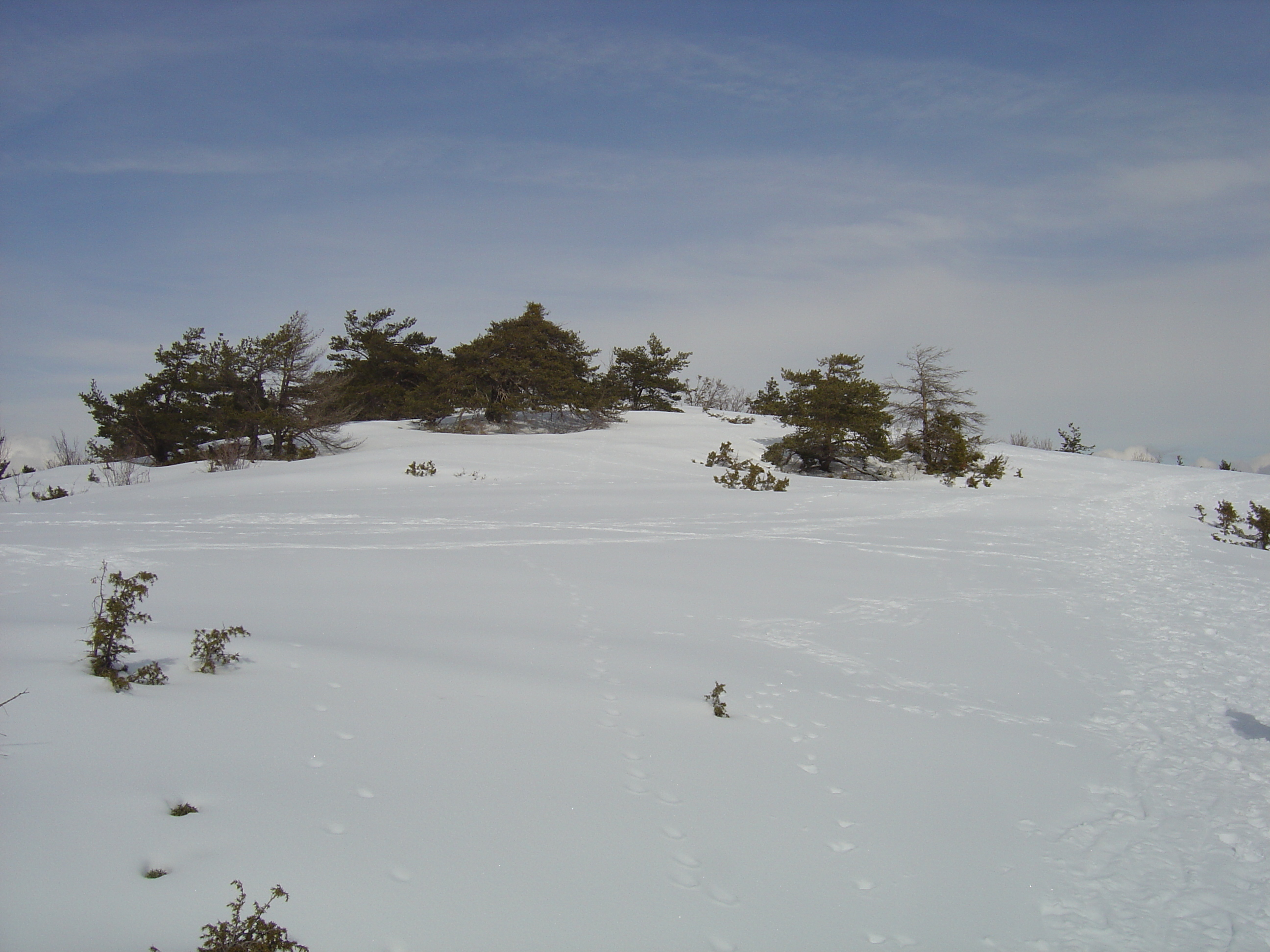 รูปถ่าย ฝรั่งเศส(France) เกรโอลีแยร์(Greolieres) 2006-02 26