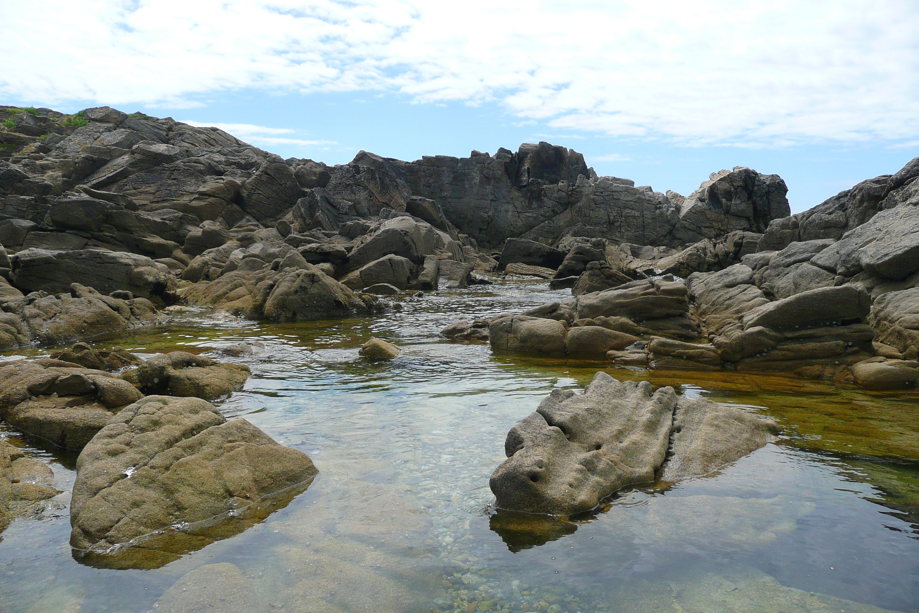 รูปถ่าย ฝรั่งเศส(France) คาบสมุทรกีเบอรง(Quiberon peninsula) ปอร์ตีวี(Portivy) 2008-07 68