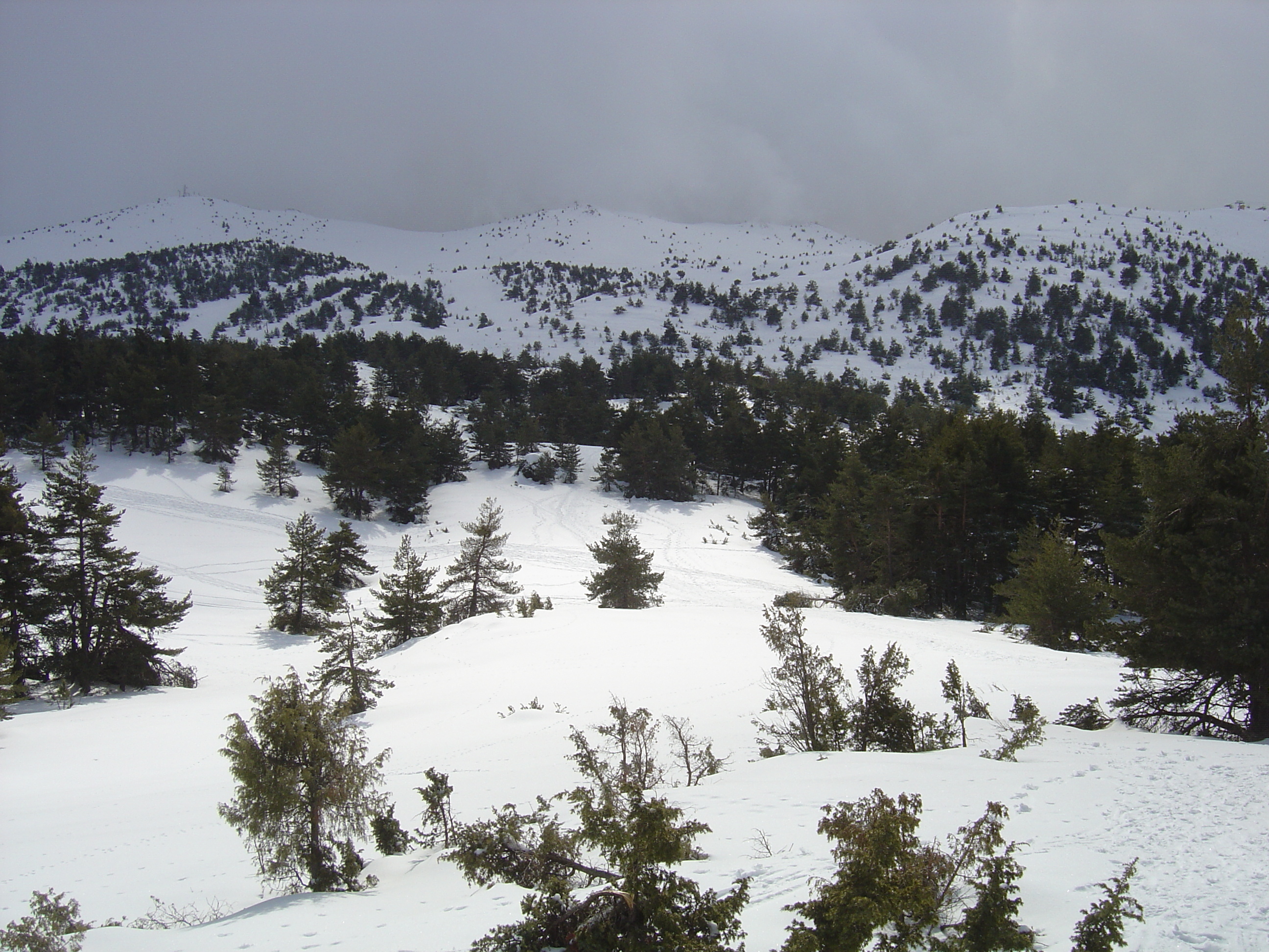รูปถ่าย ฝรั่งเศส(France) เกรโอลีแยร์(Greolieres) 2006-02 23