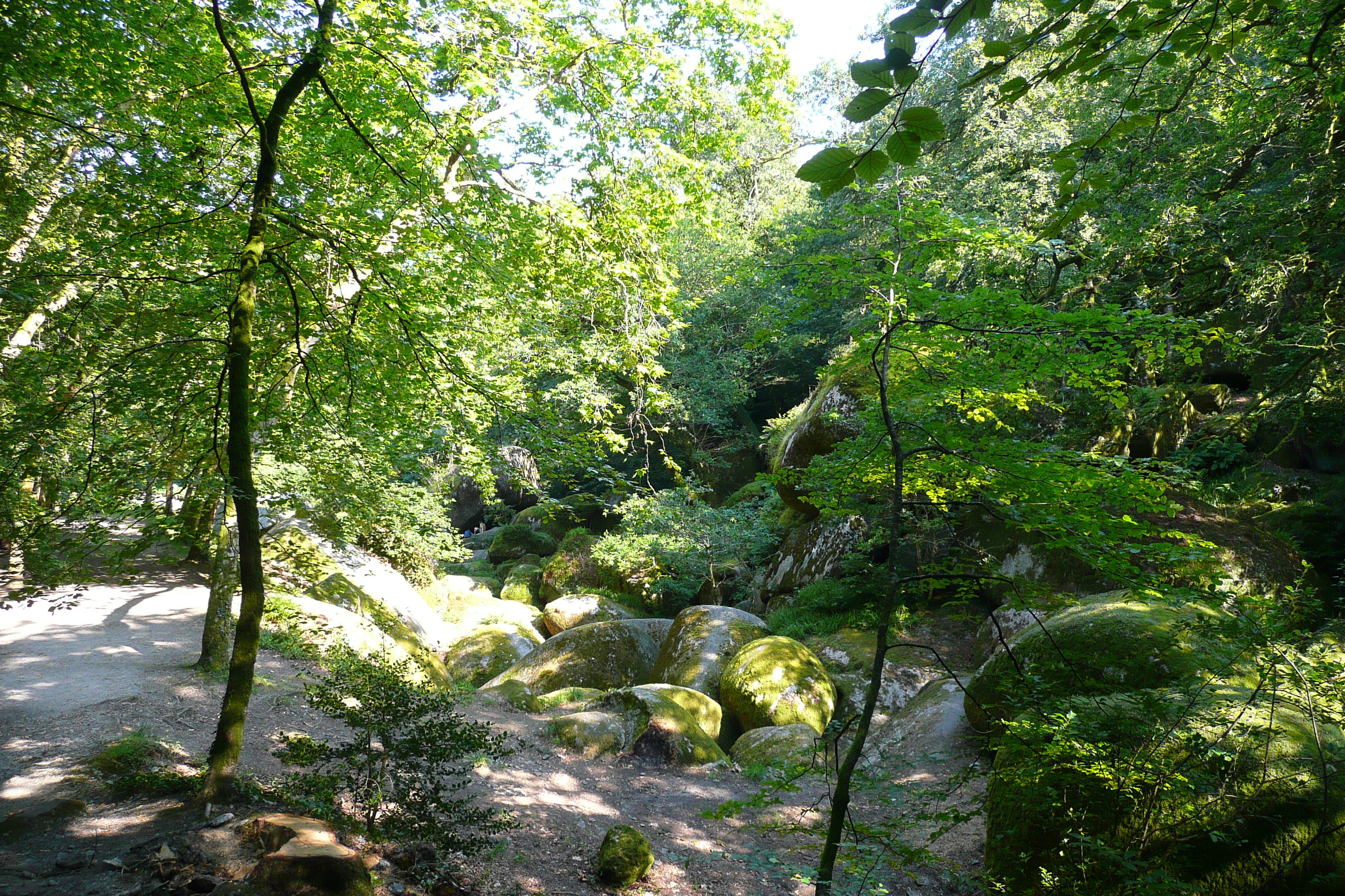 รูปถ่าย ฝรั่งเศส(France) อูแอลโกแอท(Huelgoat) 2007-08 177