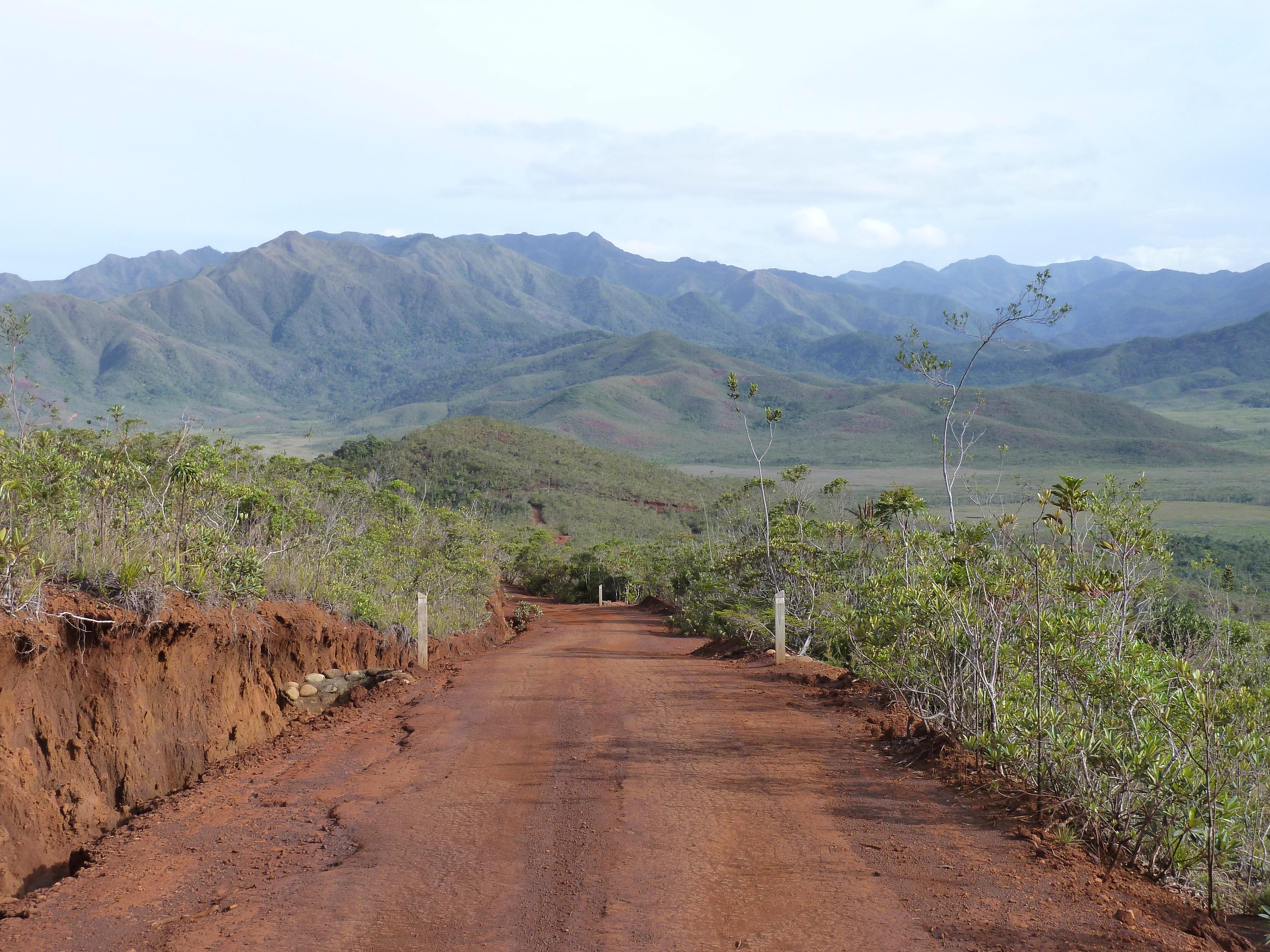 รูปถ่าย นิวแคลิโดเนีย(New Caledonia) อุทยานริเวียร์เบลอ(Parc de la Riviere Bleue) 2010-05 25
