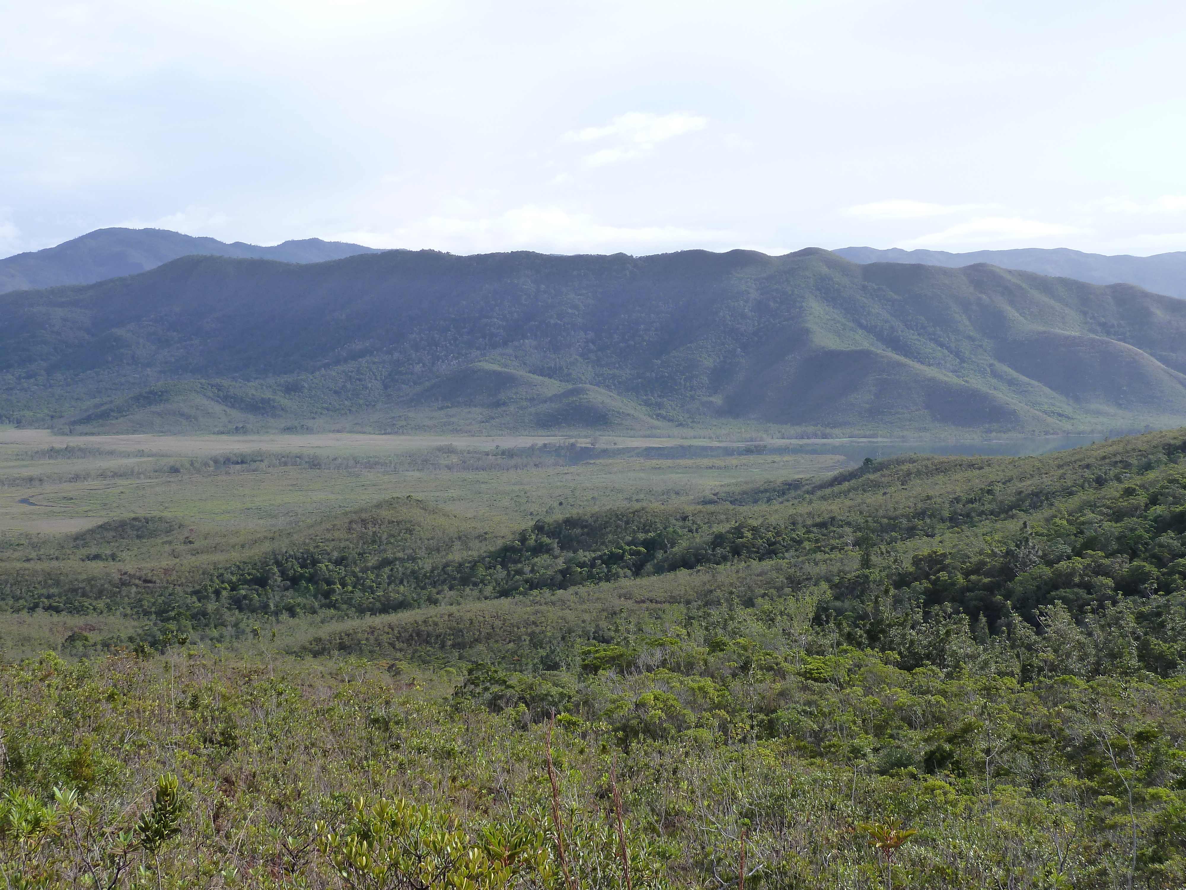 รูปถ่าย นิวแคลิโดเนีย(New Caledonia) อุทยานริเวียร์เบลอ(Parc de la Riviere Bleue) 2010-05 34