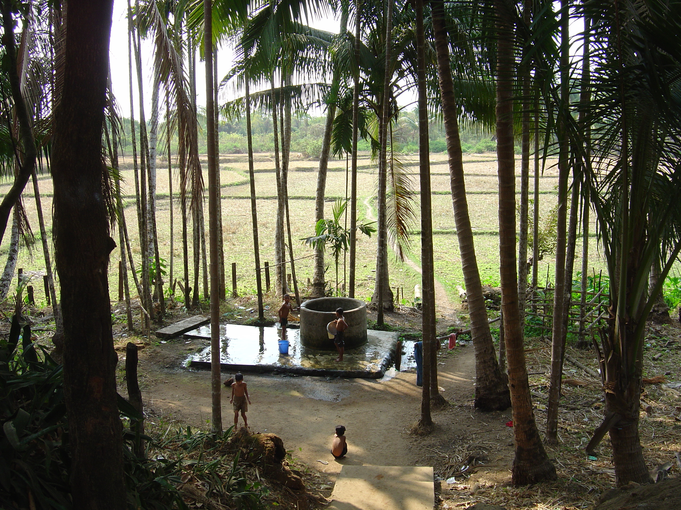 รูปถ่าย พม่า(Myanmar) หาดหม่องมะกันด้านเหนือ(Maungmagan North) 2005-01 48