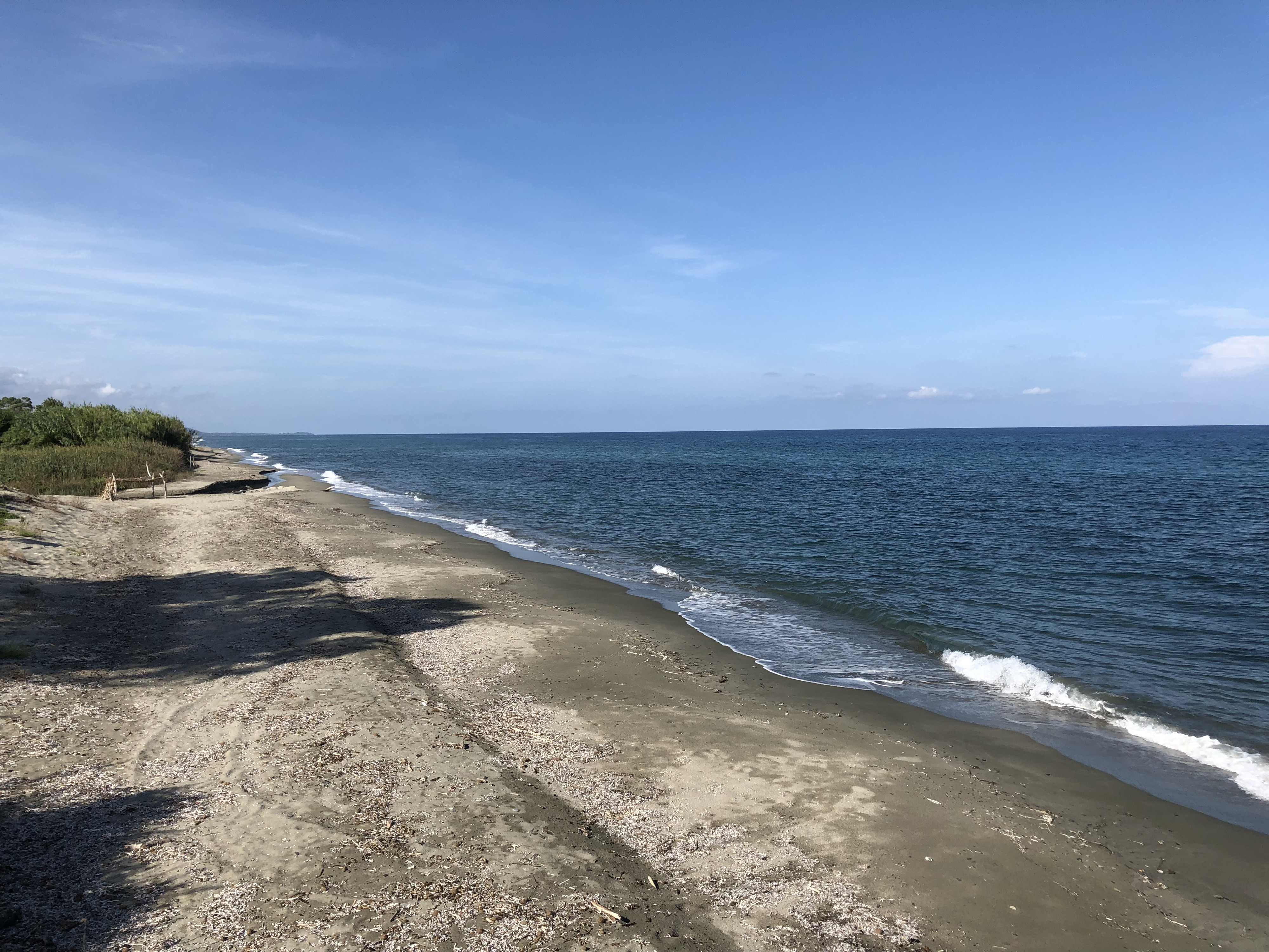 รูปถ่าย ฝรั่งเศส(France) คอร์สิคา(Corsica) ซานจูเลียโน(San Giuliano) 2018-09 12