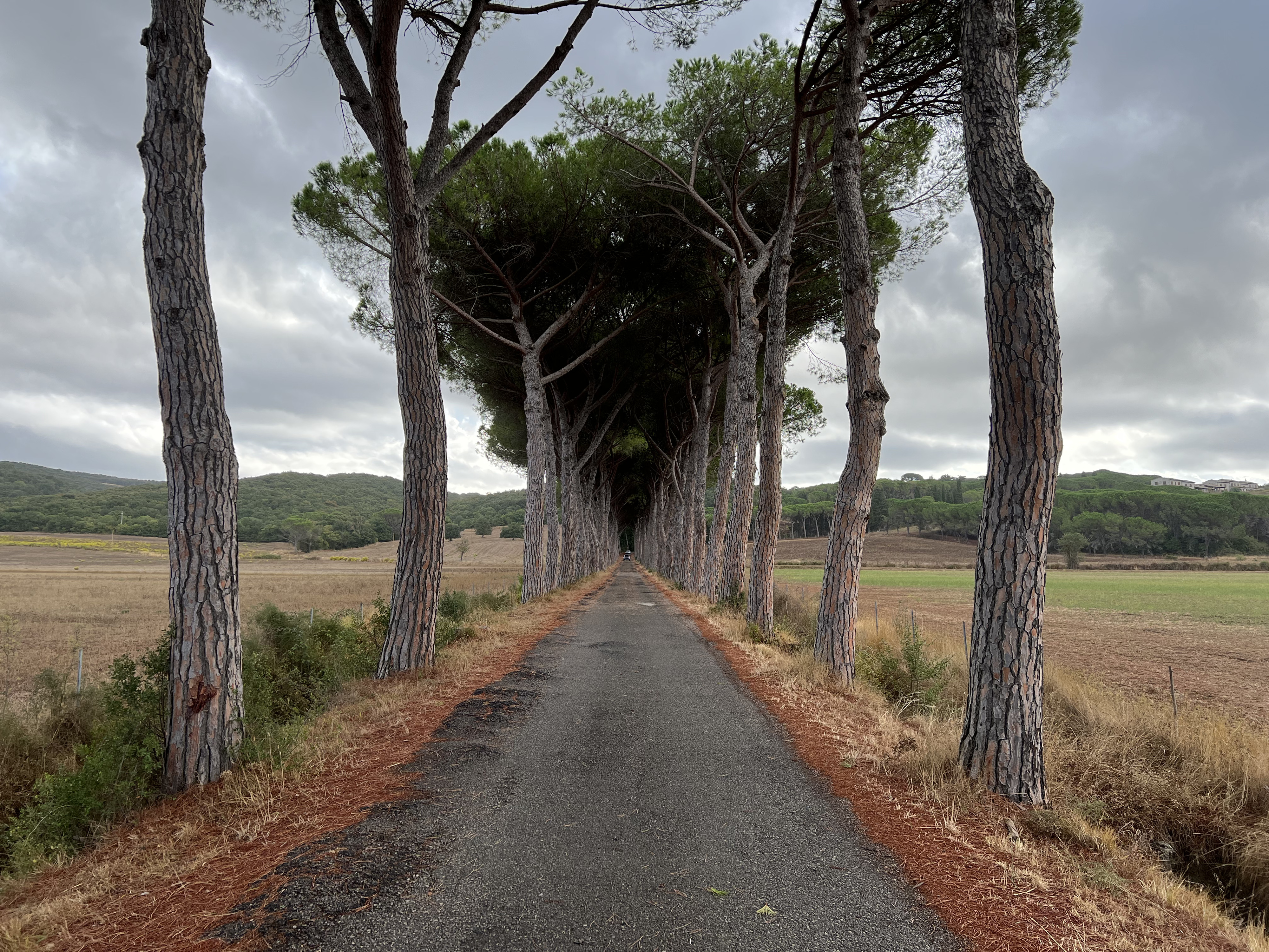 รูปถ่าย อิตาลี(Italy) ทัสคานี(Tuscany) 2021-09 9