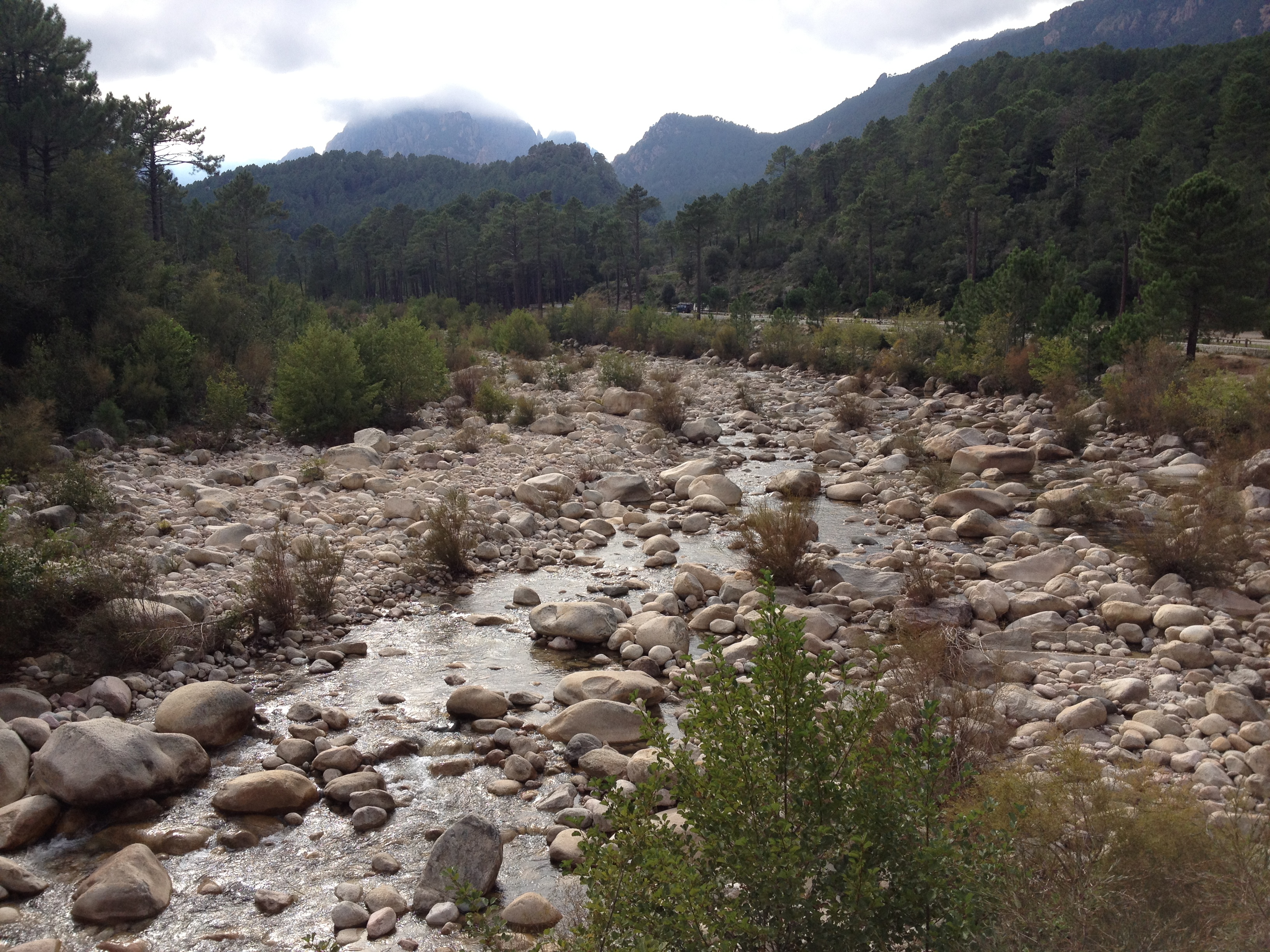 รูปถ่าย ฝรั่งเศส(France) คอร์สิคา(Corsica) โซเลนซารา(Solenzara) 2012-09 4