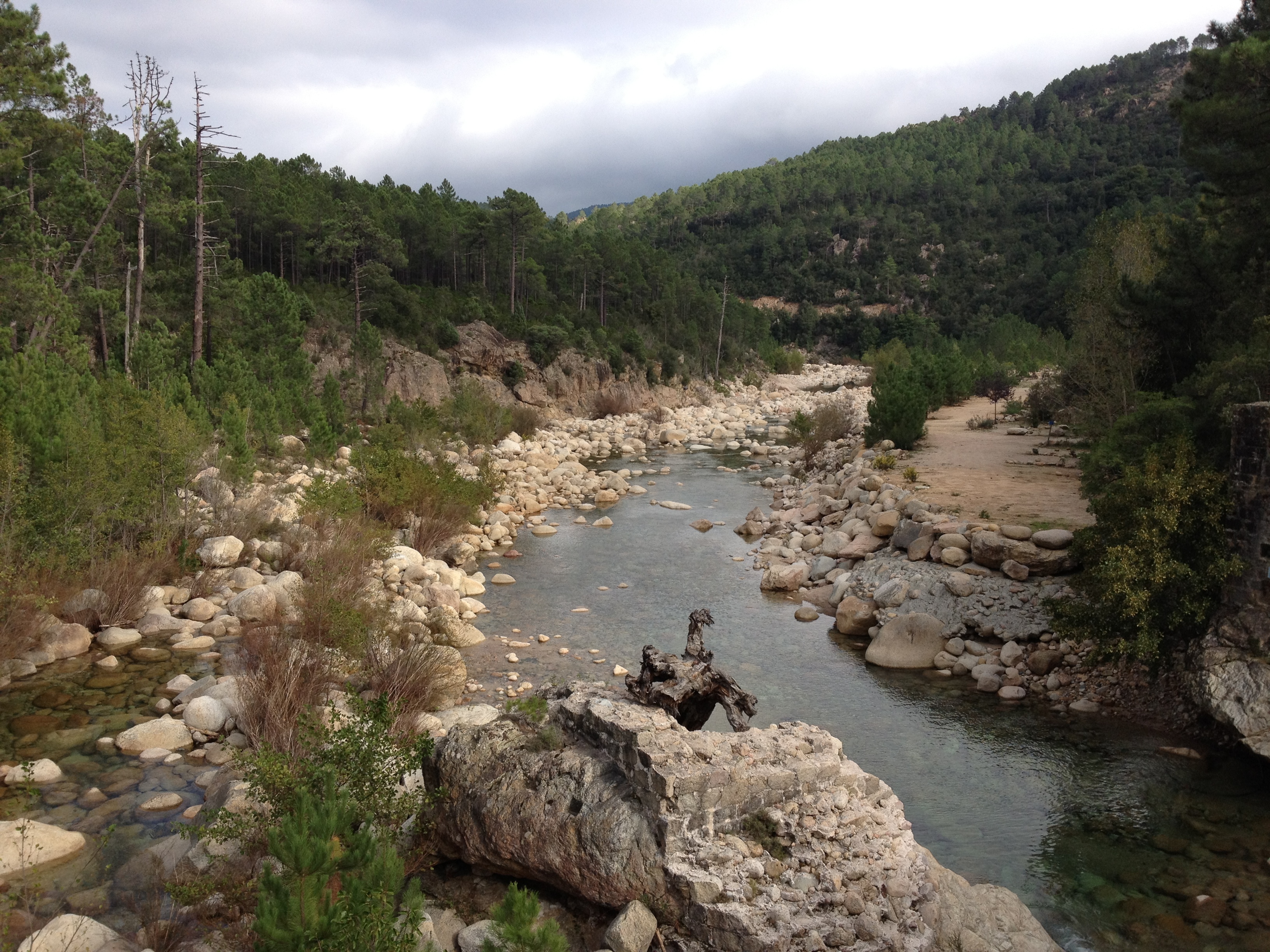 รูปถ่าย ฝรั่งเศส(France) คอร์สิคา(Corsica) โซเลนซารา(Solenzara) 2012-09 3