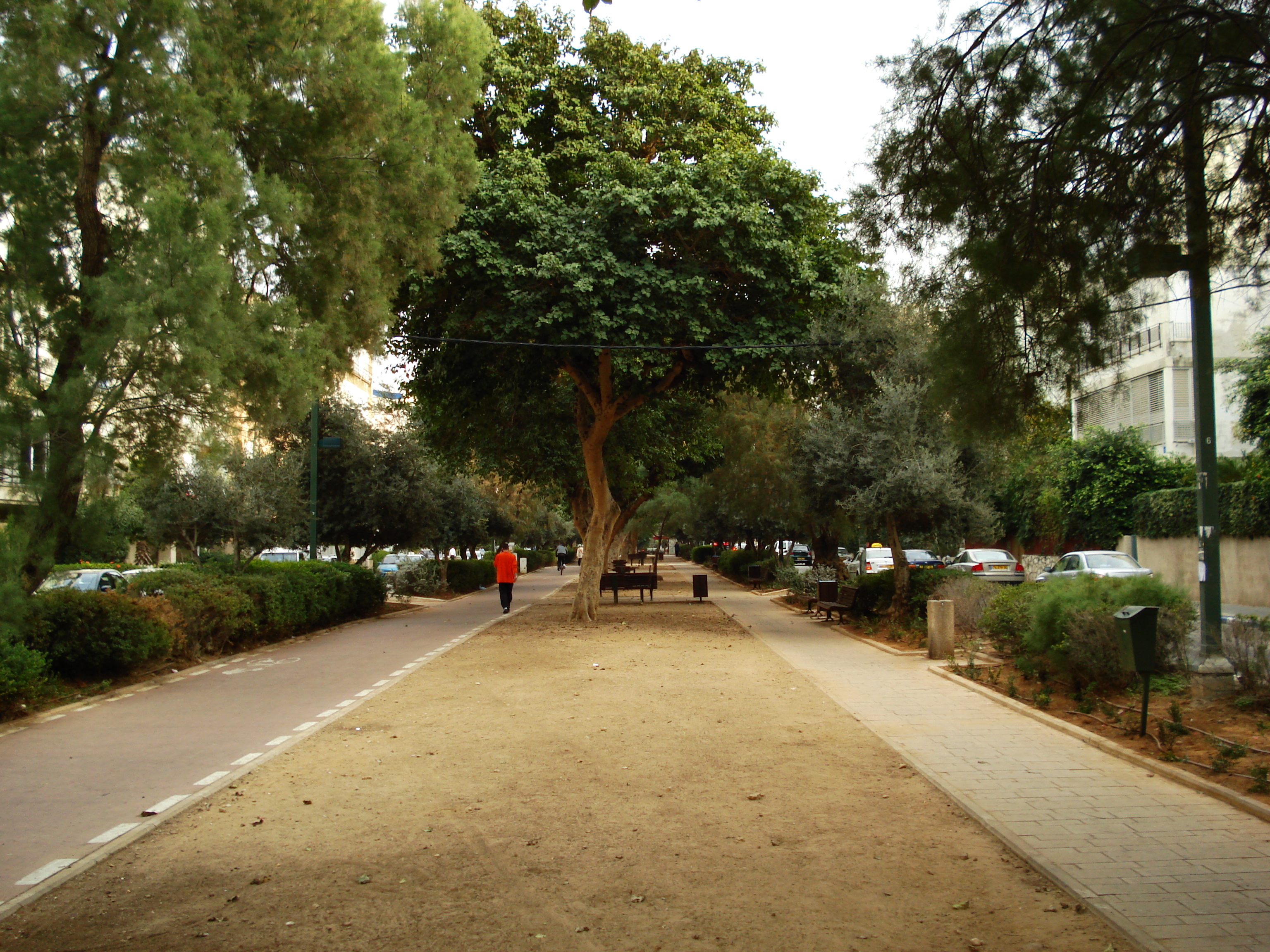 รูปถ่าย อิสราเอล(Israel) เทลอาวีฟ(Tel Aviv) ชายหาดเทลอาวีฟ(Tel Aviv Sea Shore) 2006-12 247