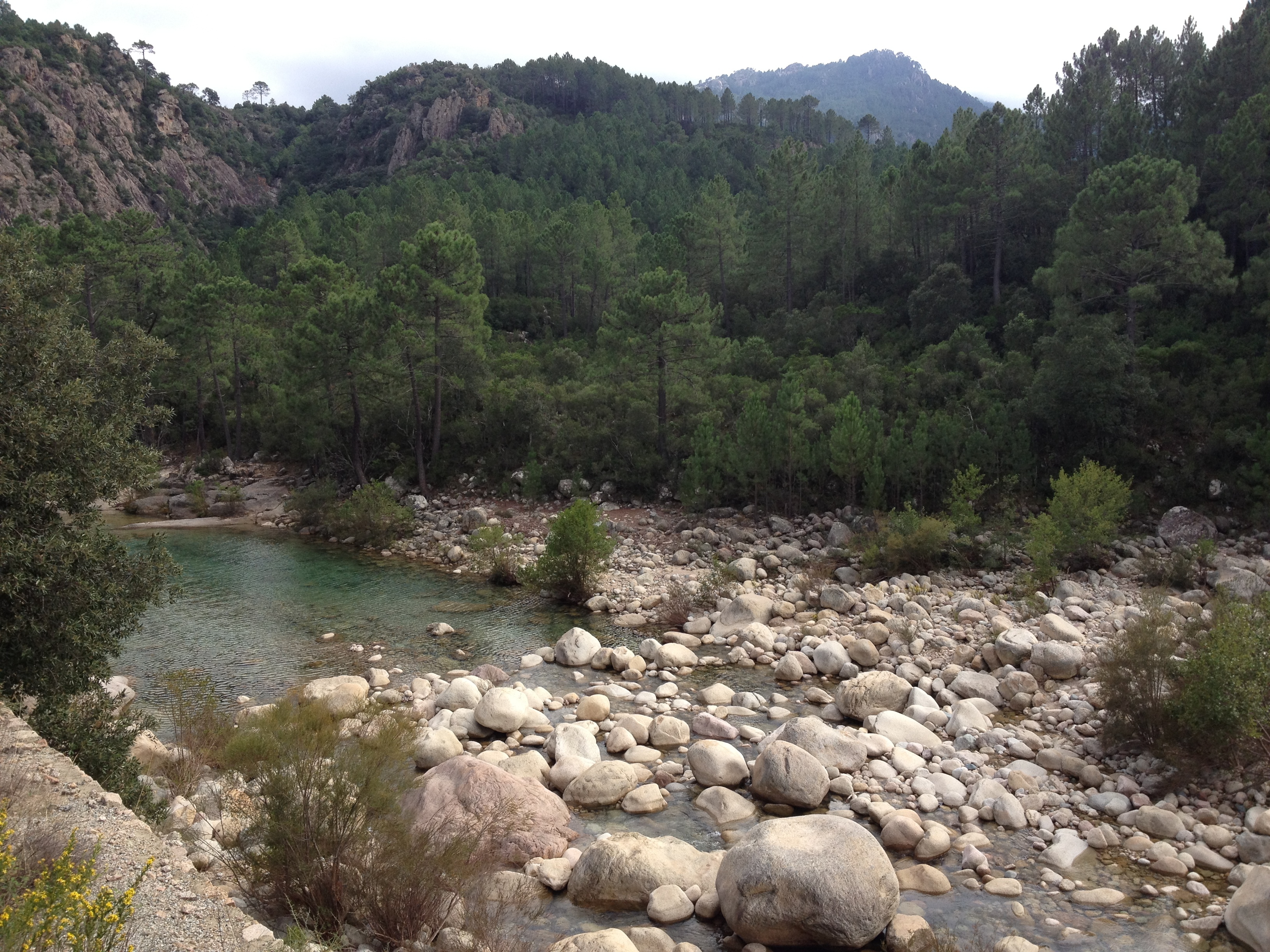 รูปถ่าย ฝรั่งเศส(France) คอร์สิคา(Corsica) โซเลนซารา(Solenzara) 2012-09 13