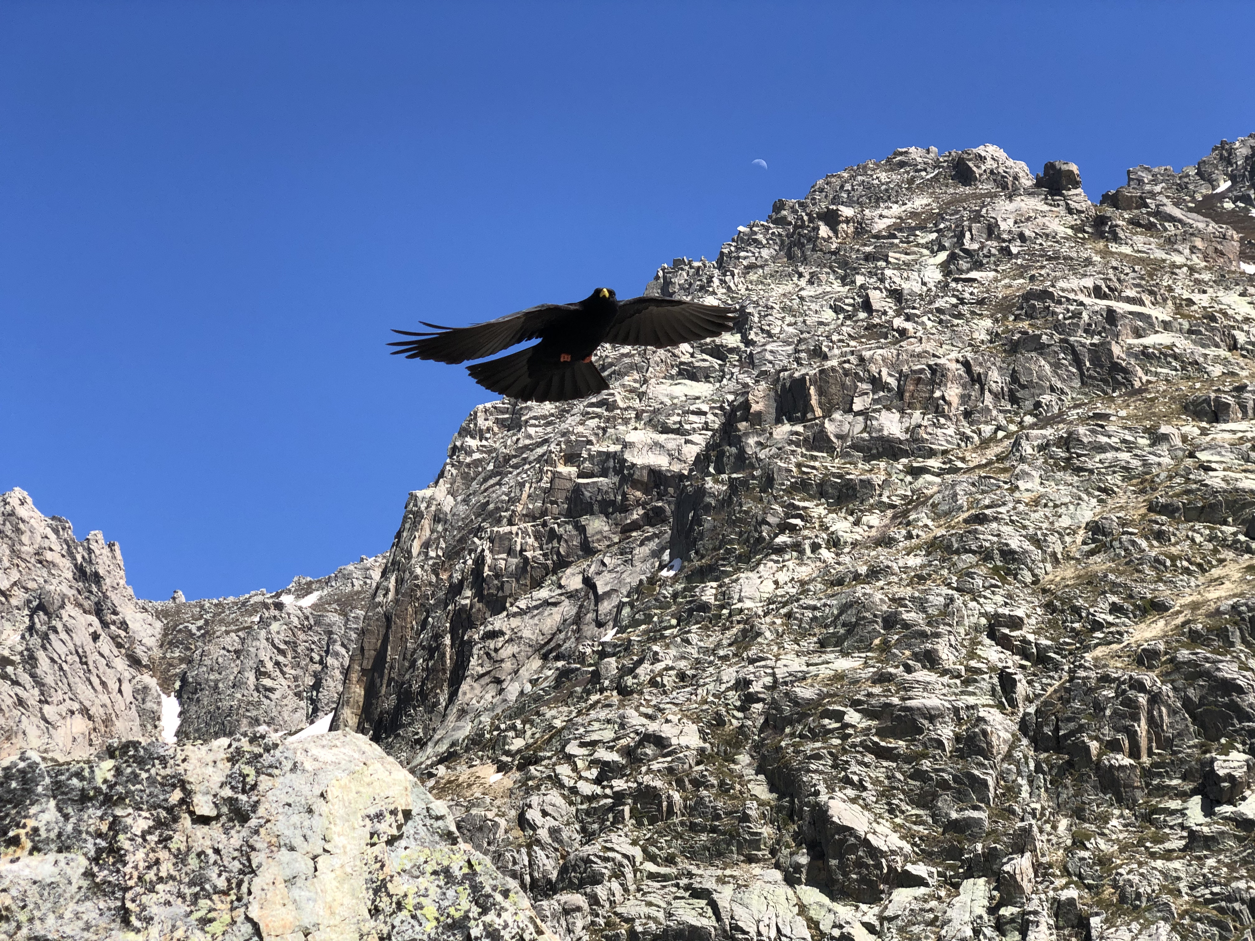 รูปถ่าย ฝรั่งเศส(France) คอร์สิคา(Corsica) ทะเลสาบเมโลและกาปีเตลโล(Lac de Melo et Capitello) 2021-06 178