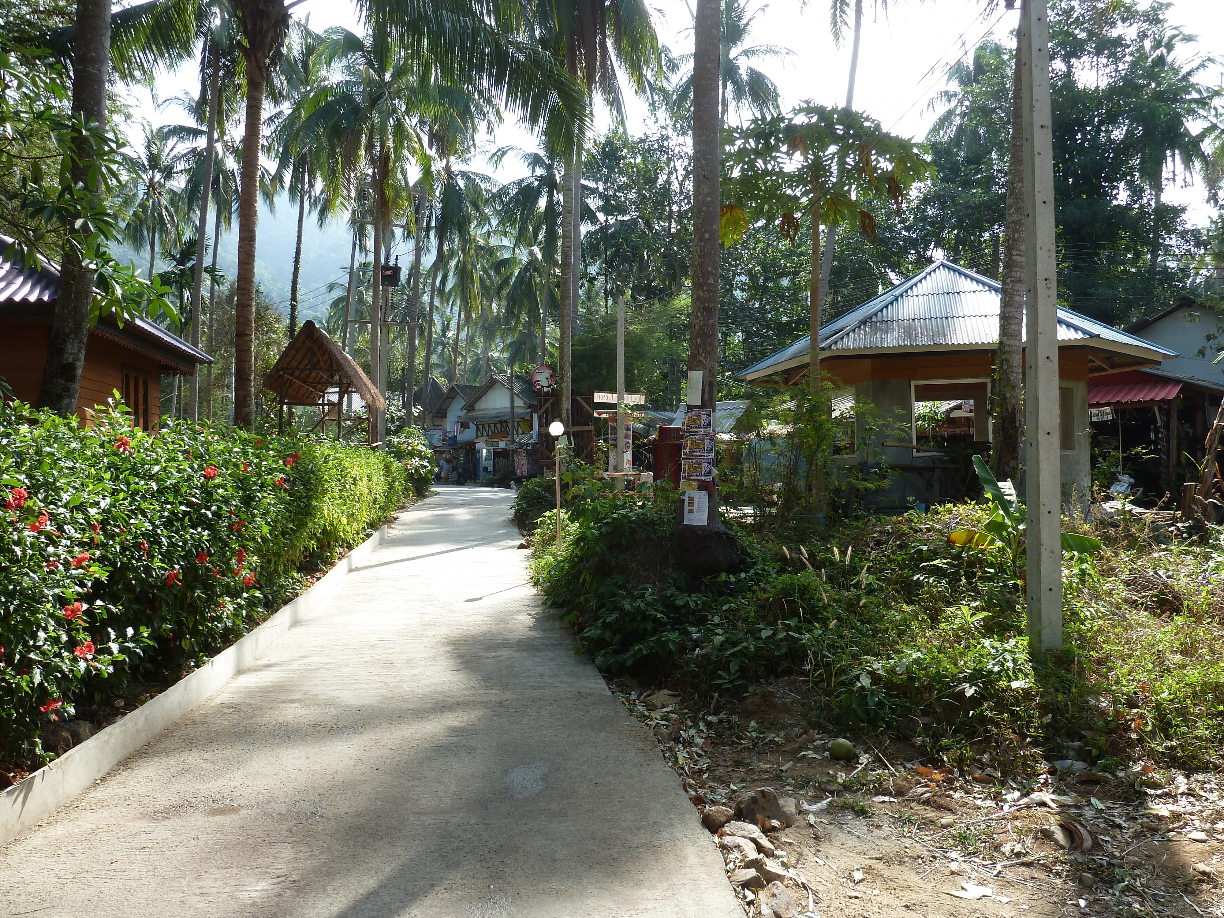 รูปถ่าย ไทย(Thailand) เกาะช้าง(Ko Chang) 2011-12 136