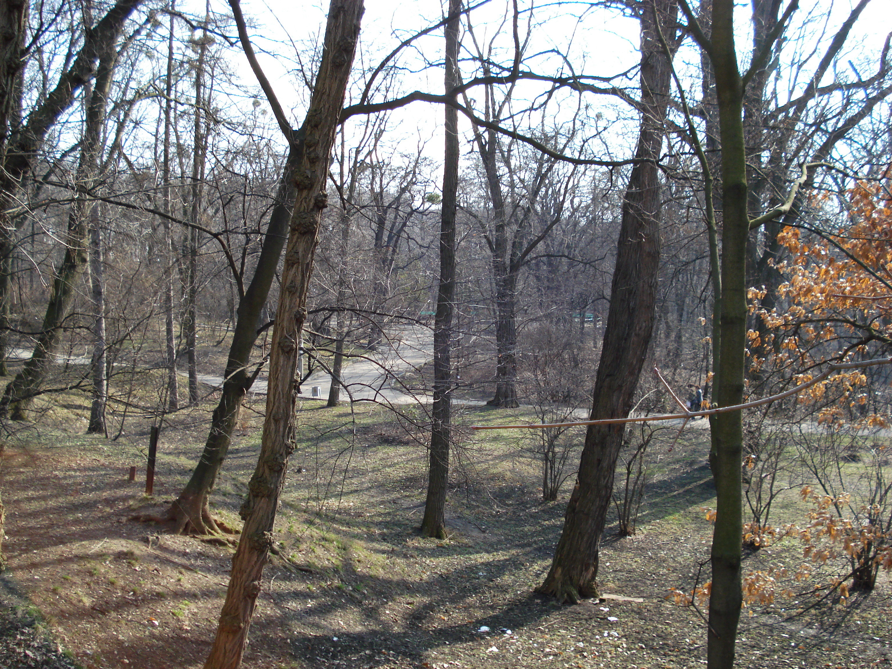 รูปถ่าย ยูเครน(Ukraine) เคียฟ(Kiev) เชฟเชนกา(Shevchenka) 2007-03 0