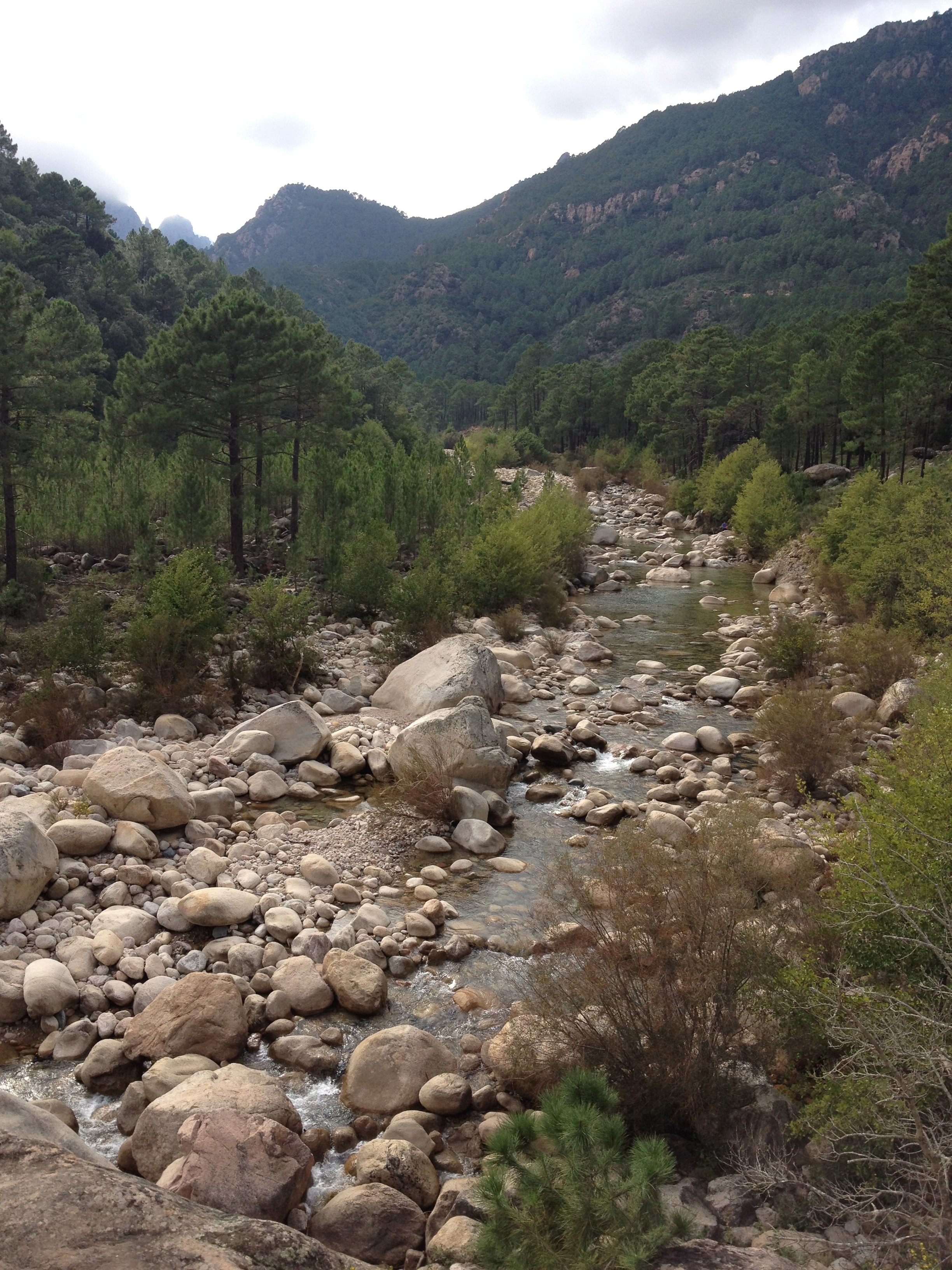 รูปถ่าย ฝรั่งเศส(France) คอร์สิคา(Corsica) โซเลนซารา(Solenzara) 2012-09 14