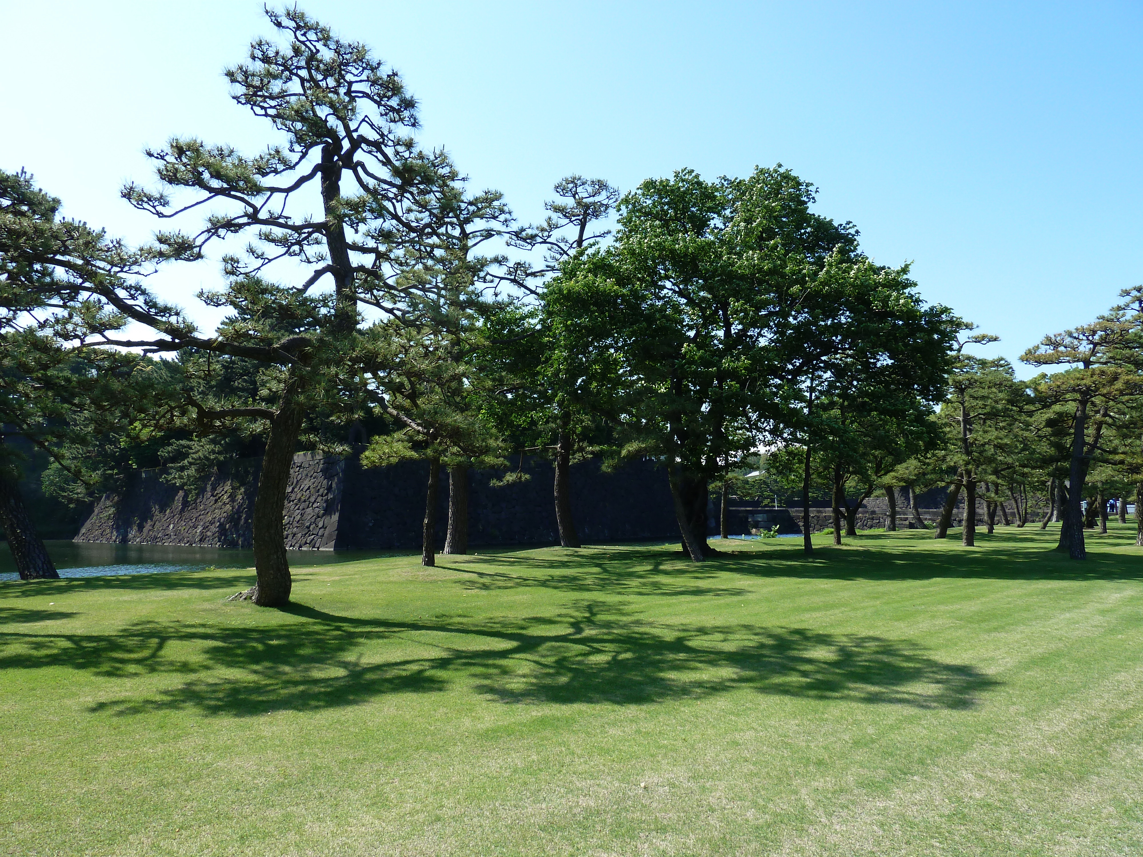 รูปถ่าย ญี่ปุ่น(Japan) โตเกียว(Tokyo) พระราชวังหลวง(Imperial Palace) 2010-06 69