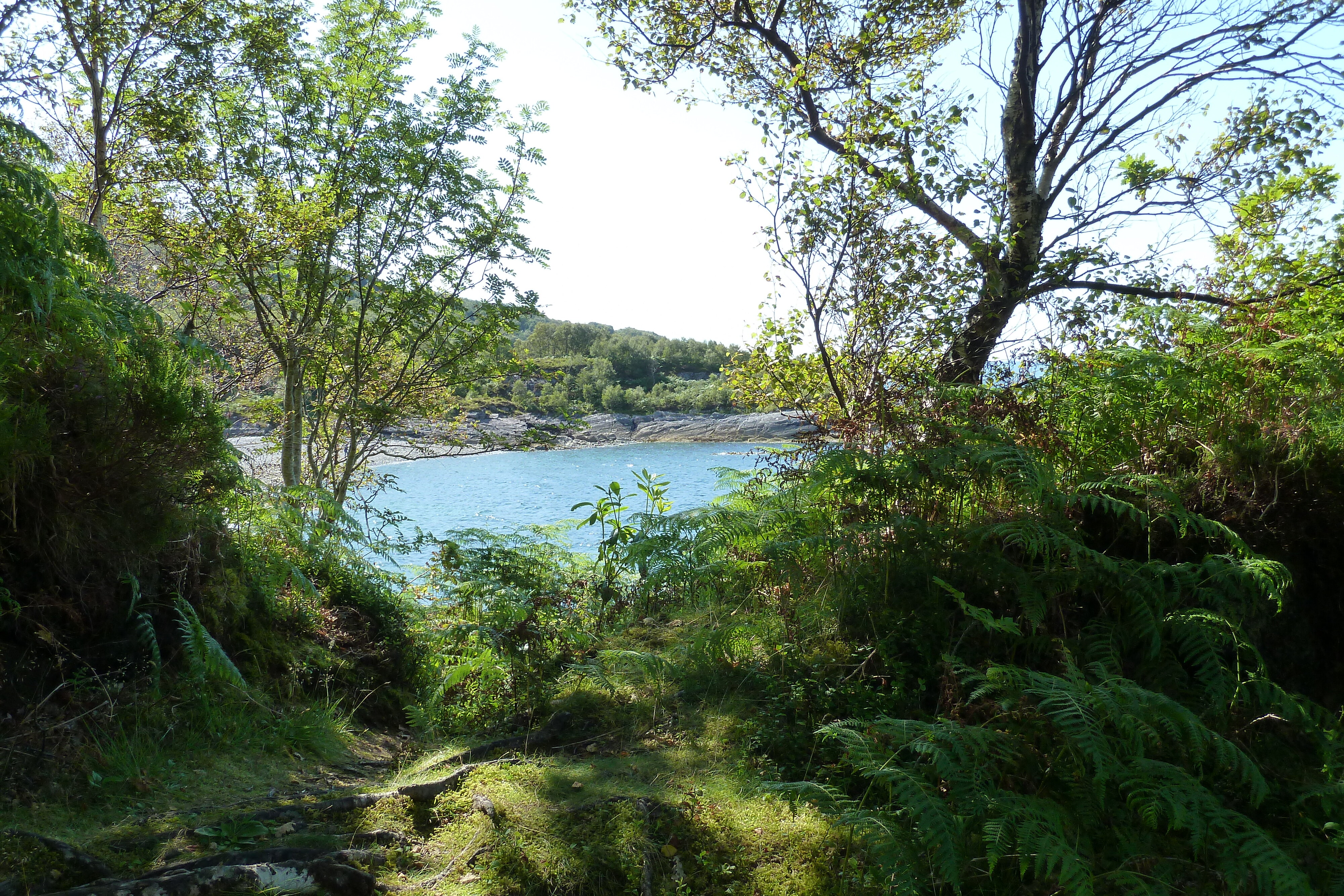 รูปถ่าย อังกฤษ(United Kingdom) สกอตแลนด์(Scotland) เซเลน(Salen) 2011-07 1