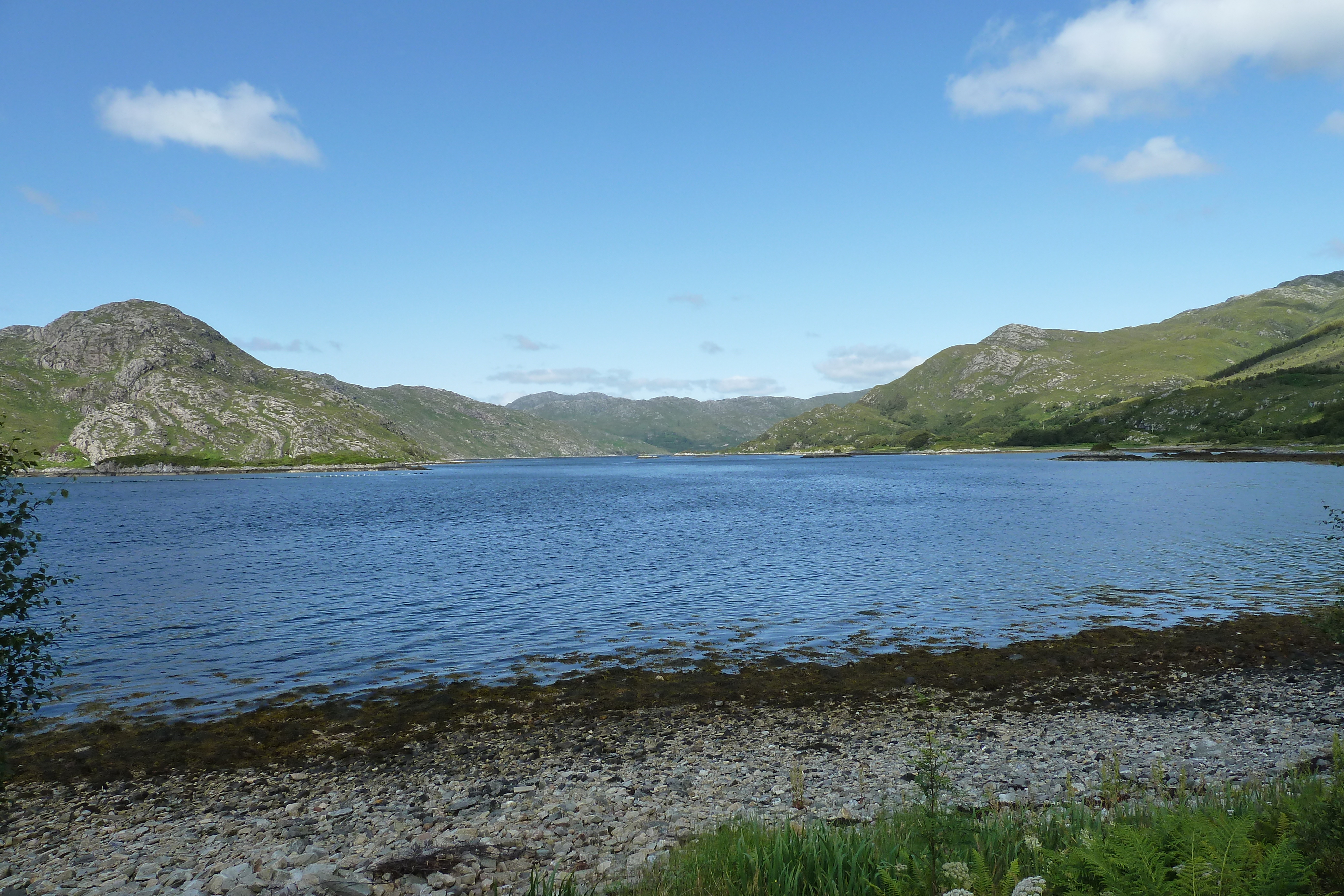 รูปถ่าย อังกฤษ(United Kingdom) สกอตแลนด์(Scotland) เซเลน(Salen) 2011-07 19