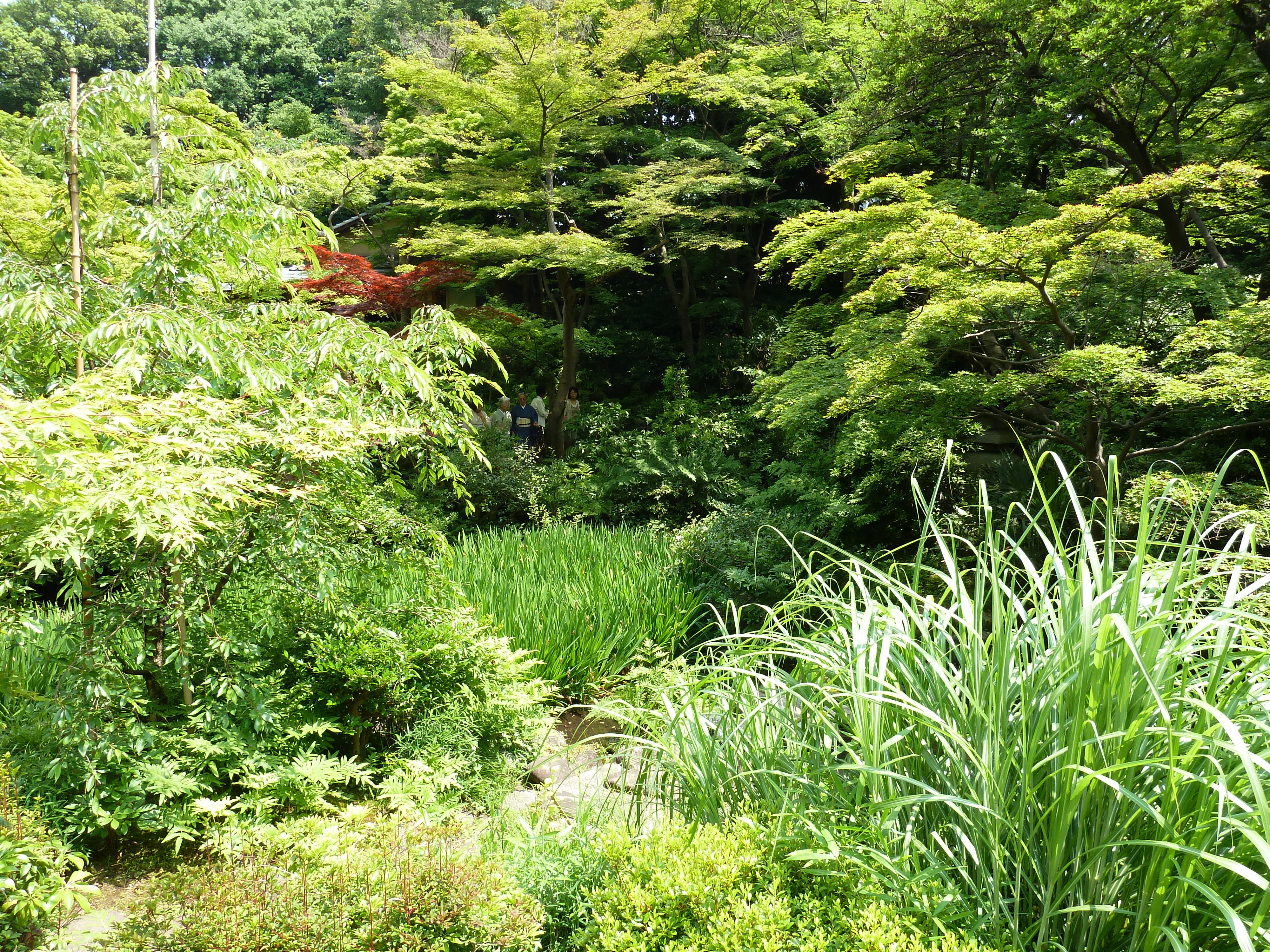 รูปถ่าย ญี่ปุ่น(Japan) โตเกียว(Tokyo) พิพิธภัณฑ์เนซุ(Nezu Museum) 2010-06 36