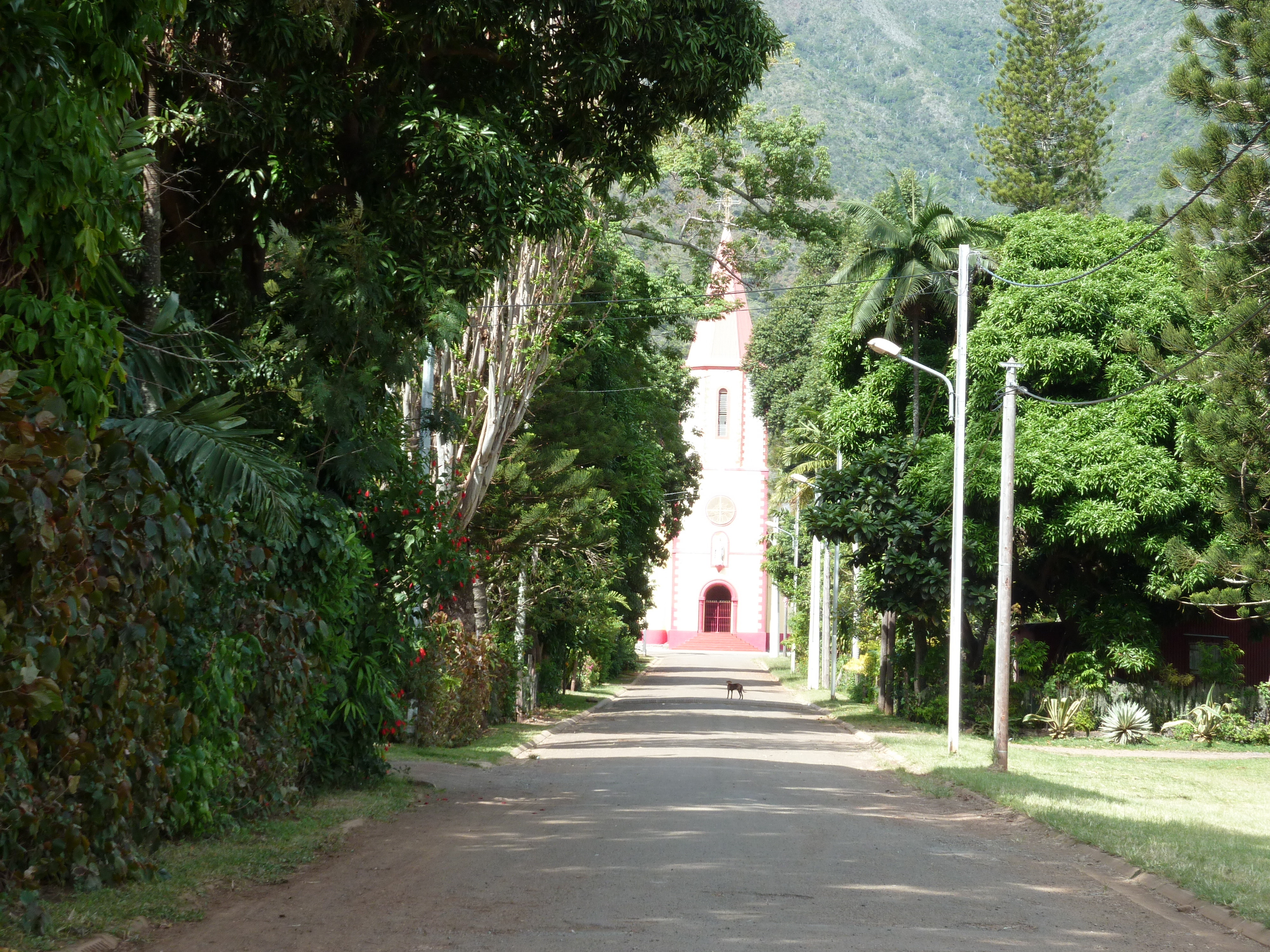 รูปถ่าย นิวแคลิโดเนีย(New Caledonia) ทีโอ(Thio) 2010-05 36