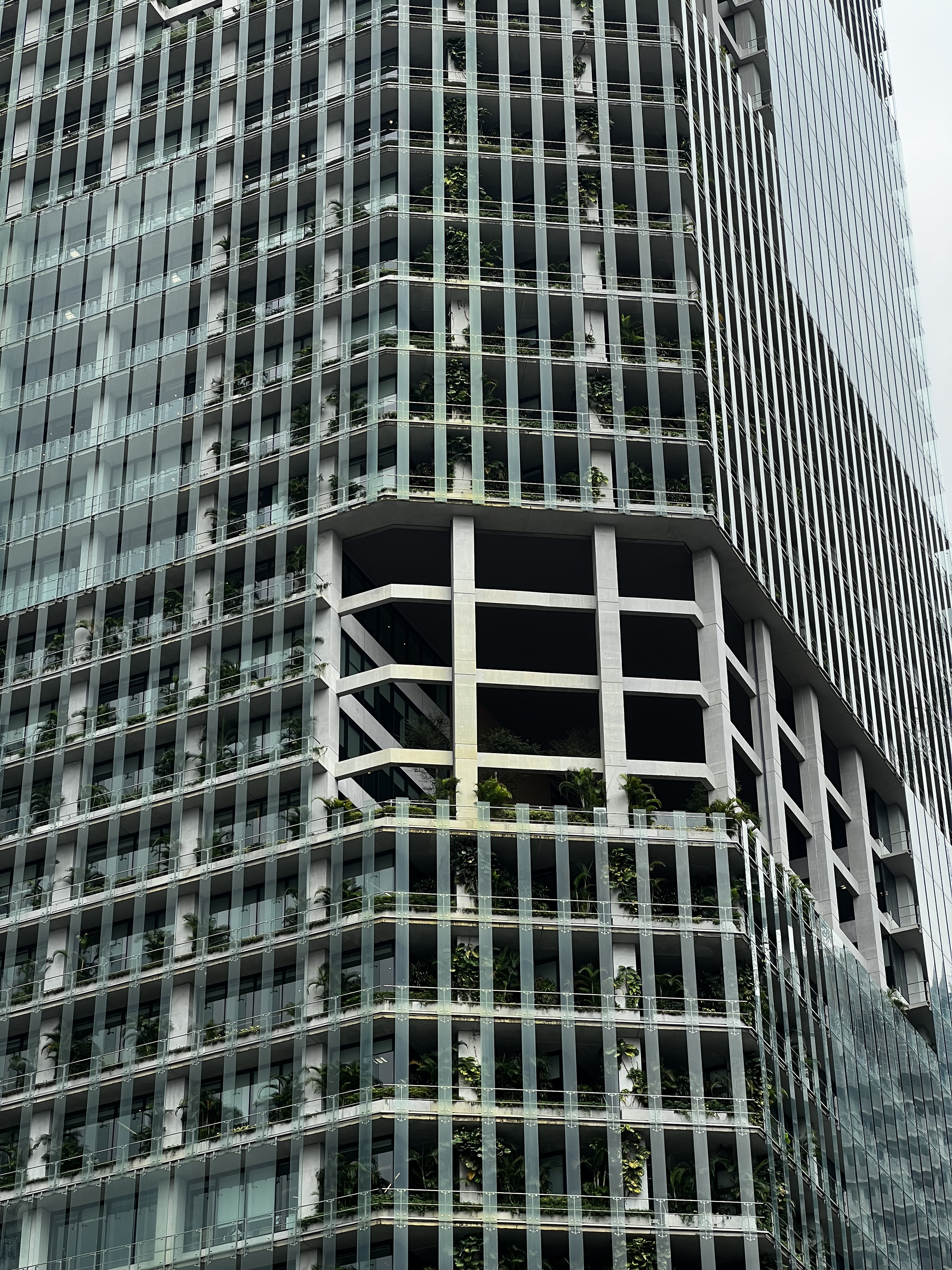 รูปถ่าย สิงคโปร์(Singapore) ย่านใจกลางเมือง(Downtown) 2023-01 13
