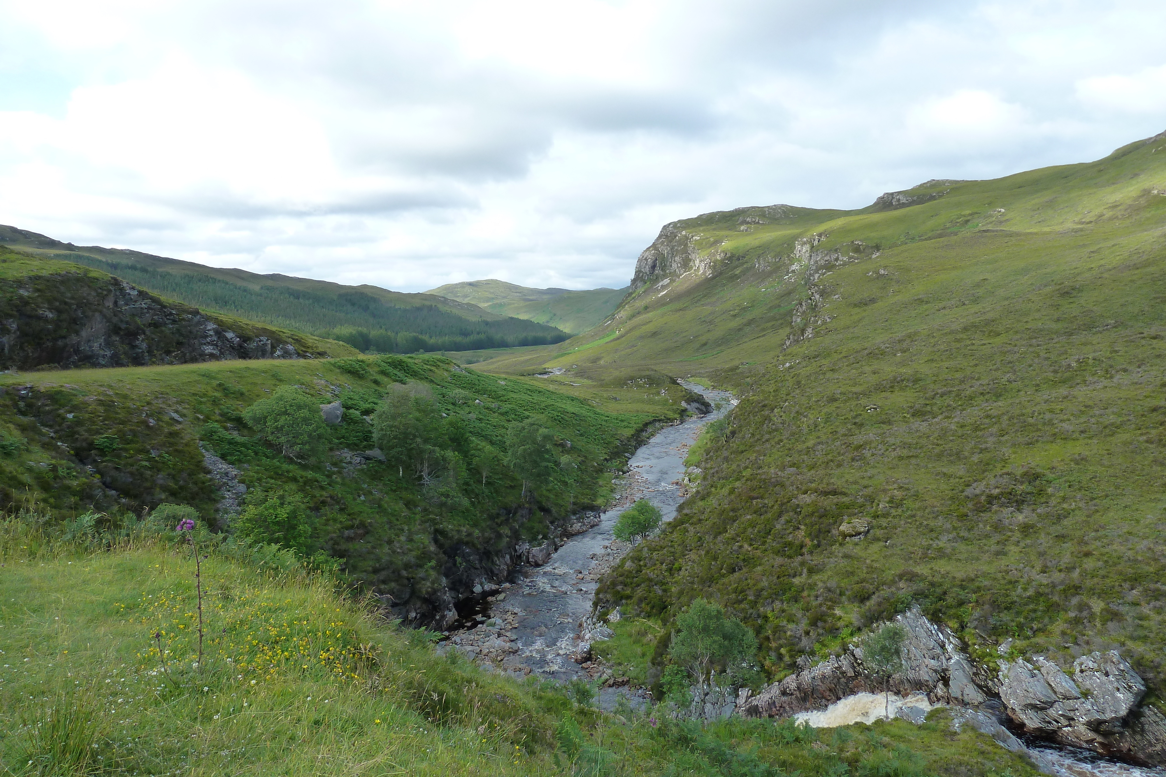 รูปถ่าย อังกฤษ(United Kingdom) เวสเตอร์รอสส์(Wester Ross) 2011-07 103
