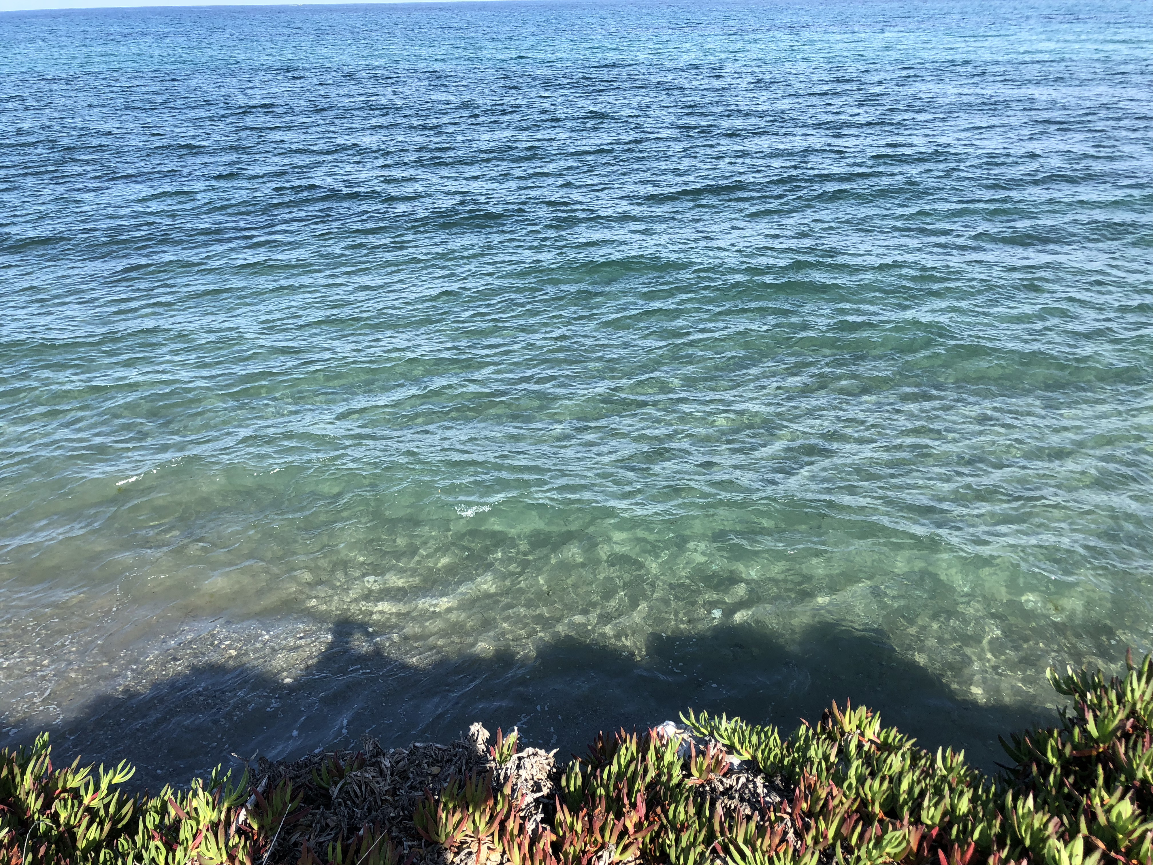 รูปถ่าย ฝรั่งเศส(France) คอร์สิคา(Corsica) ซานจูเลียโน(San Giuliano) 2018-09 27