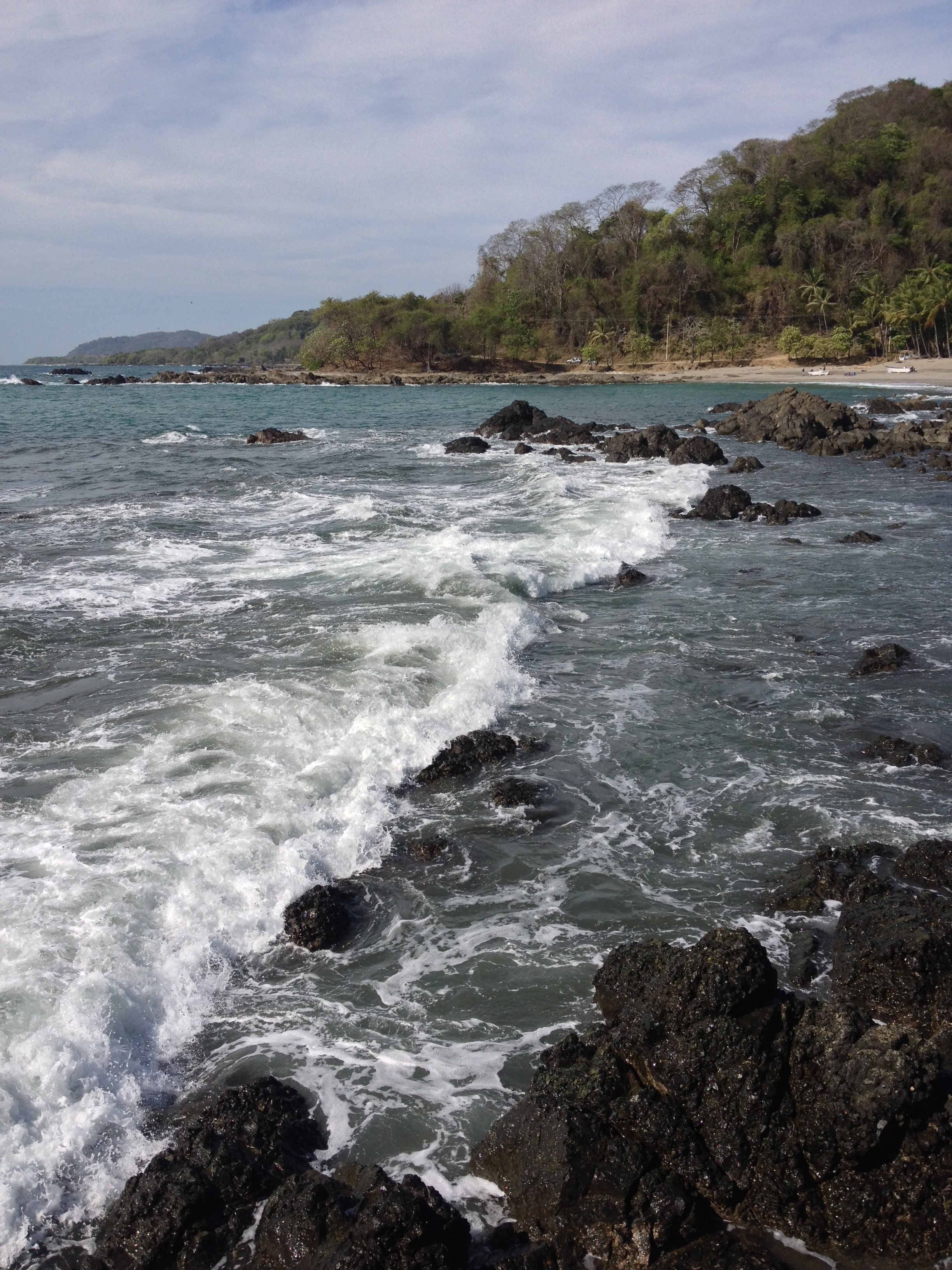 รูปถ่าย คอสตาริกา(Costa Rica) มอนเตซูมา(Montezuma) 2015-03 121