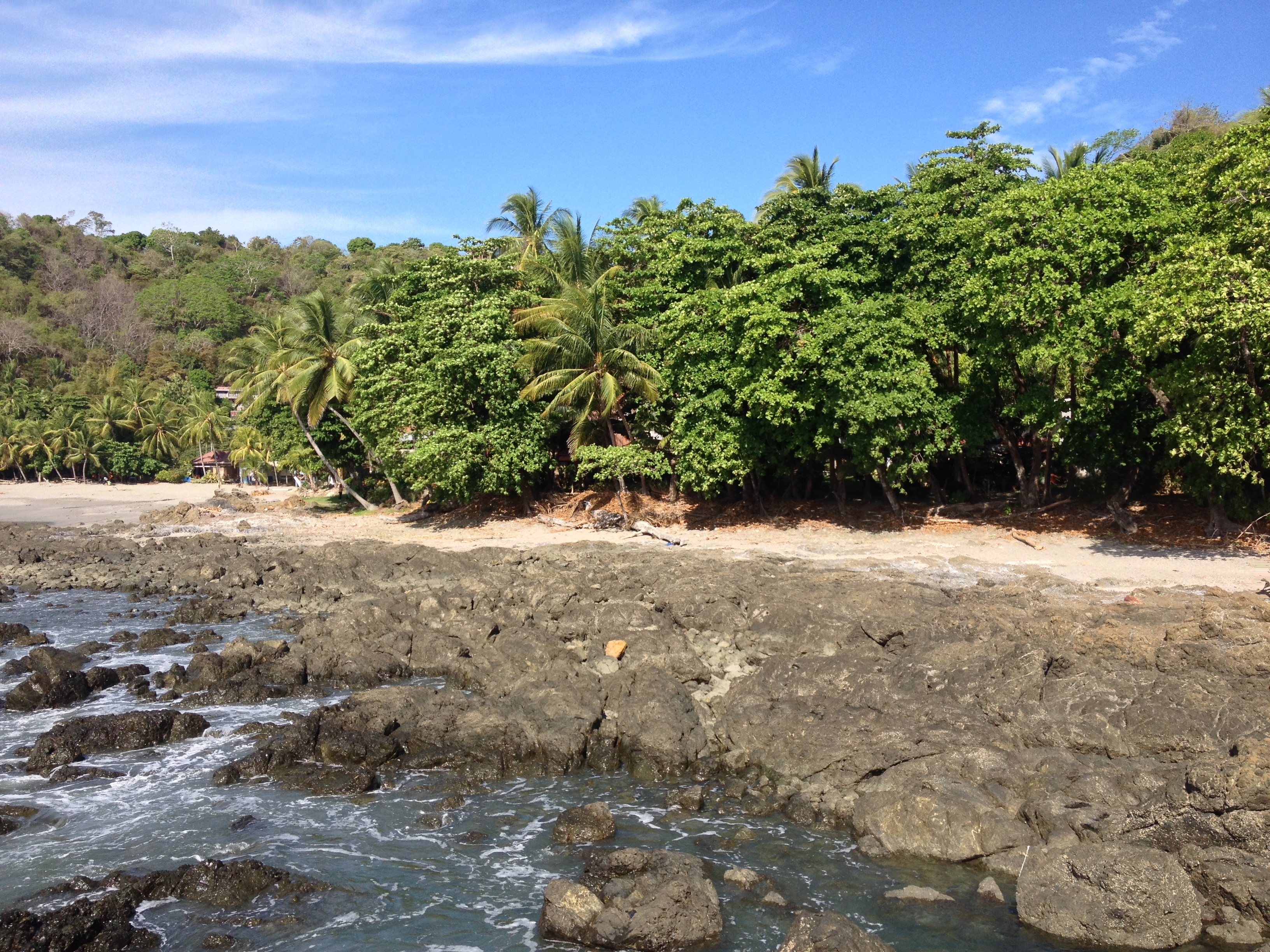 รูปถ่าย คอสตาริกา(Costa Rica) มอนเตซูมา(Montezuma) 2015-03 85