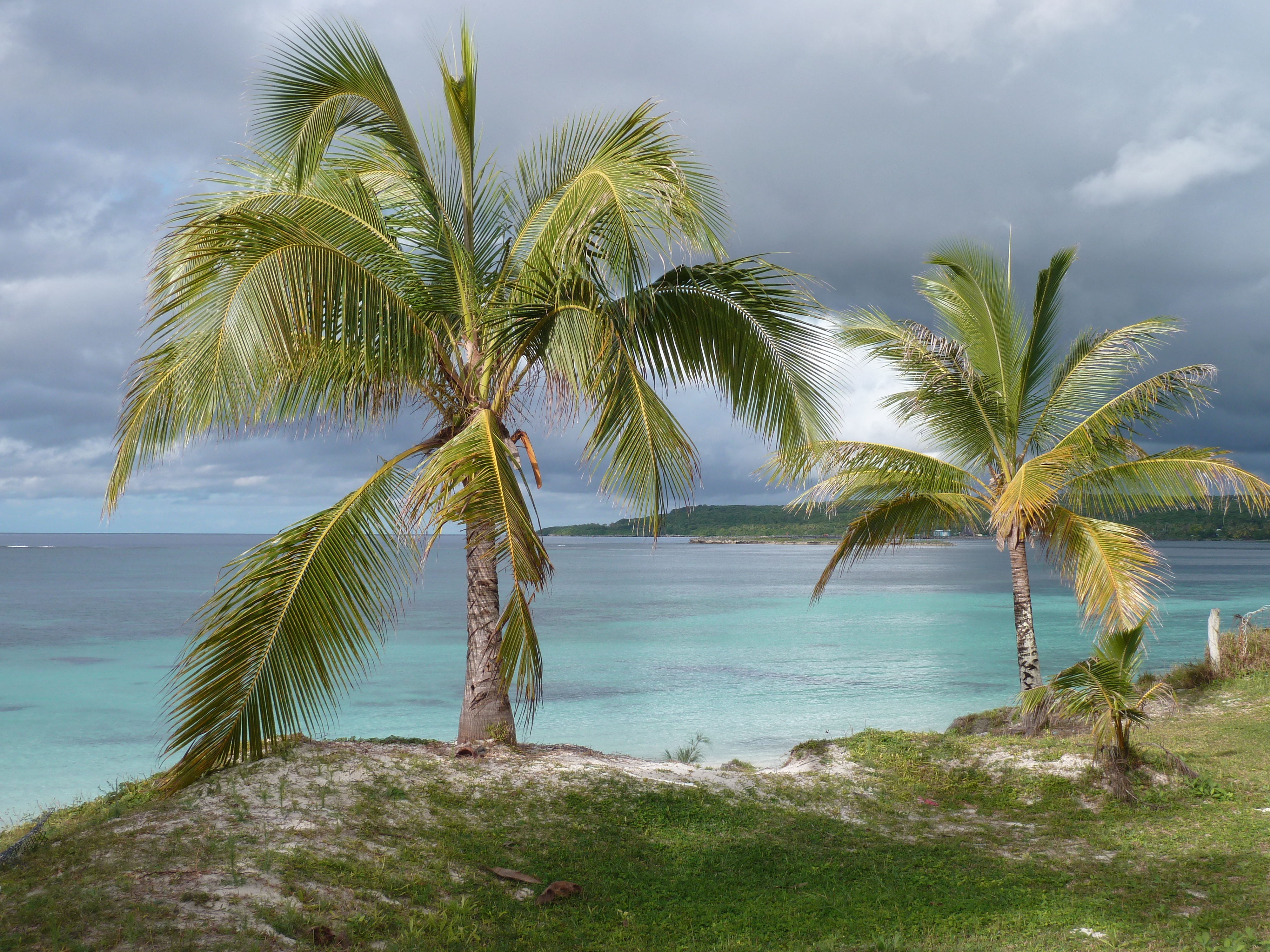 รูปถ่าย นิวแคลิโดเนีย(New Caledonia) 2010-05 22