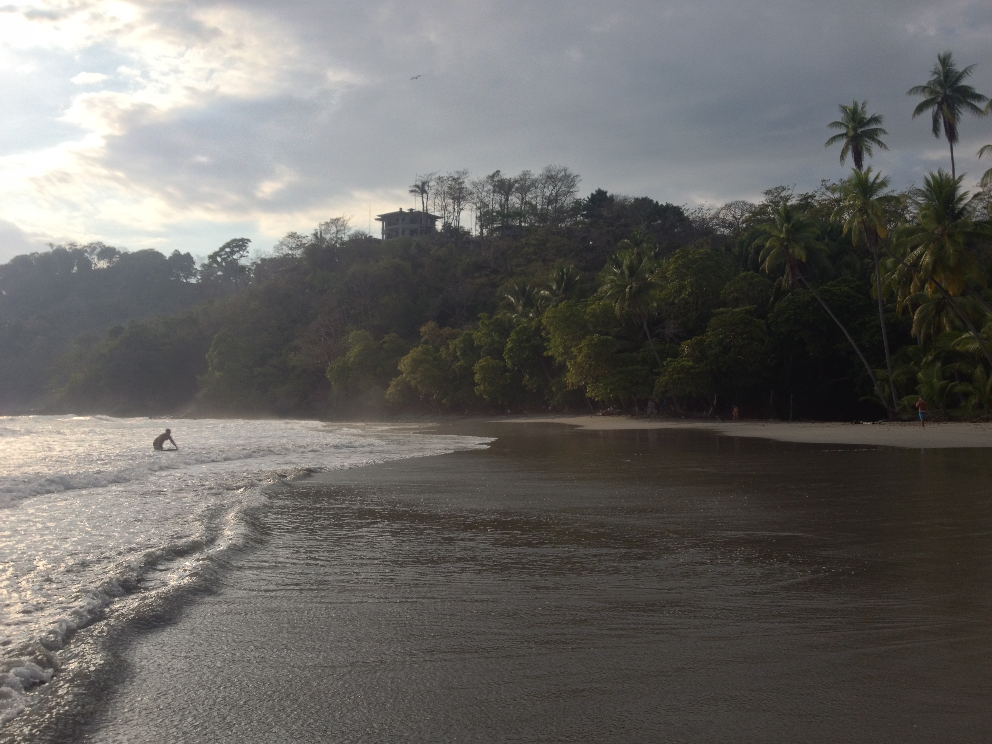 รูปถ่าย คอสตาริกา(Costa Rica) มานวยล์อันโตนีโอ(Manuel Antonio) 2015-03 296