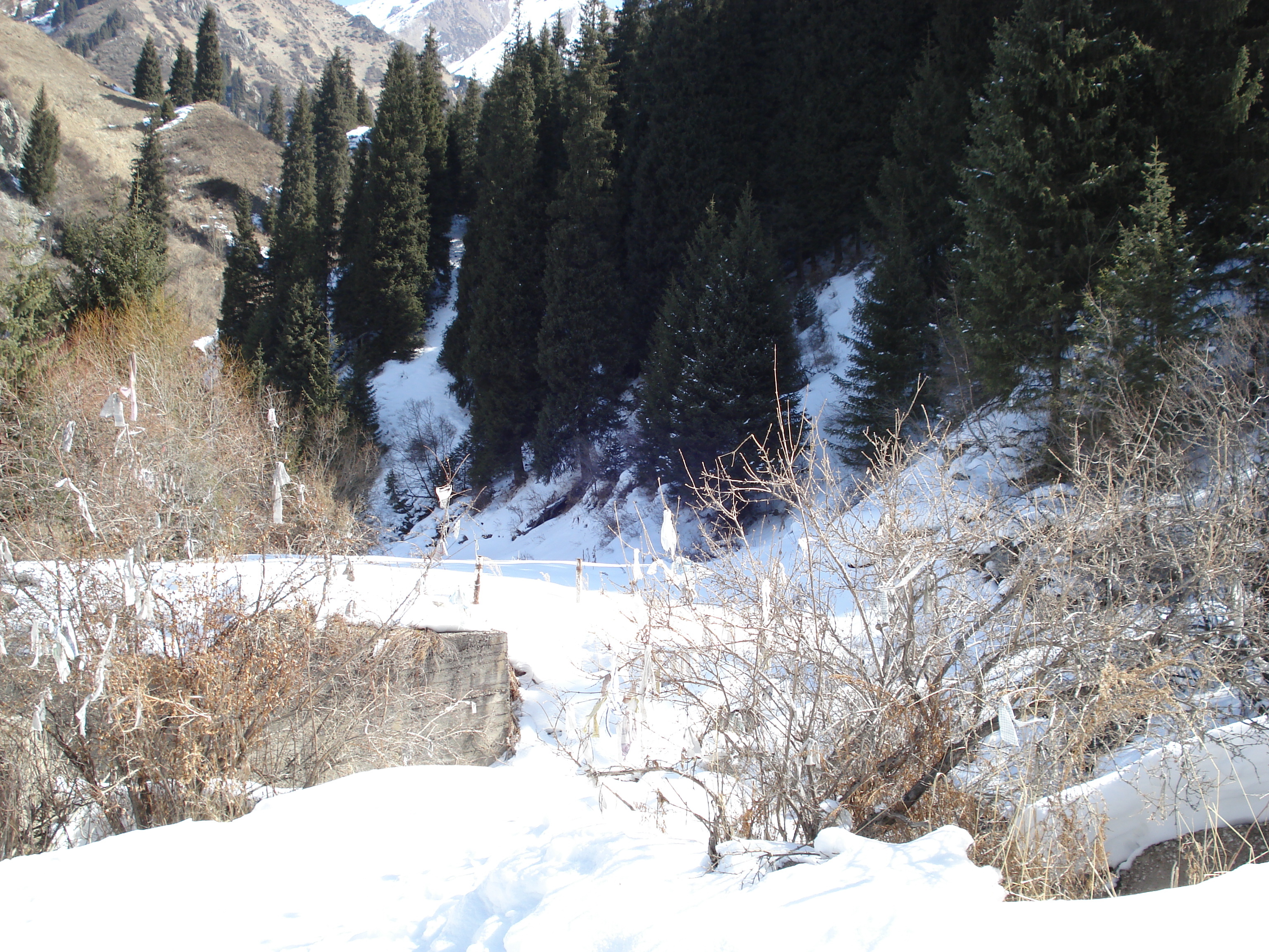รูปถ่าย คาซัคสถาน(Kazakhstan) อุทยานแห่งชาติอีเลอาลาเตา(Ile Alatau National Park) 2007-03 37