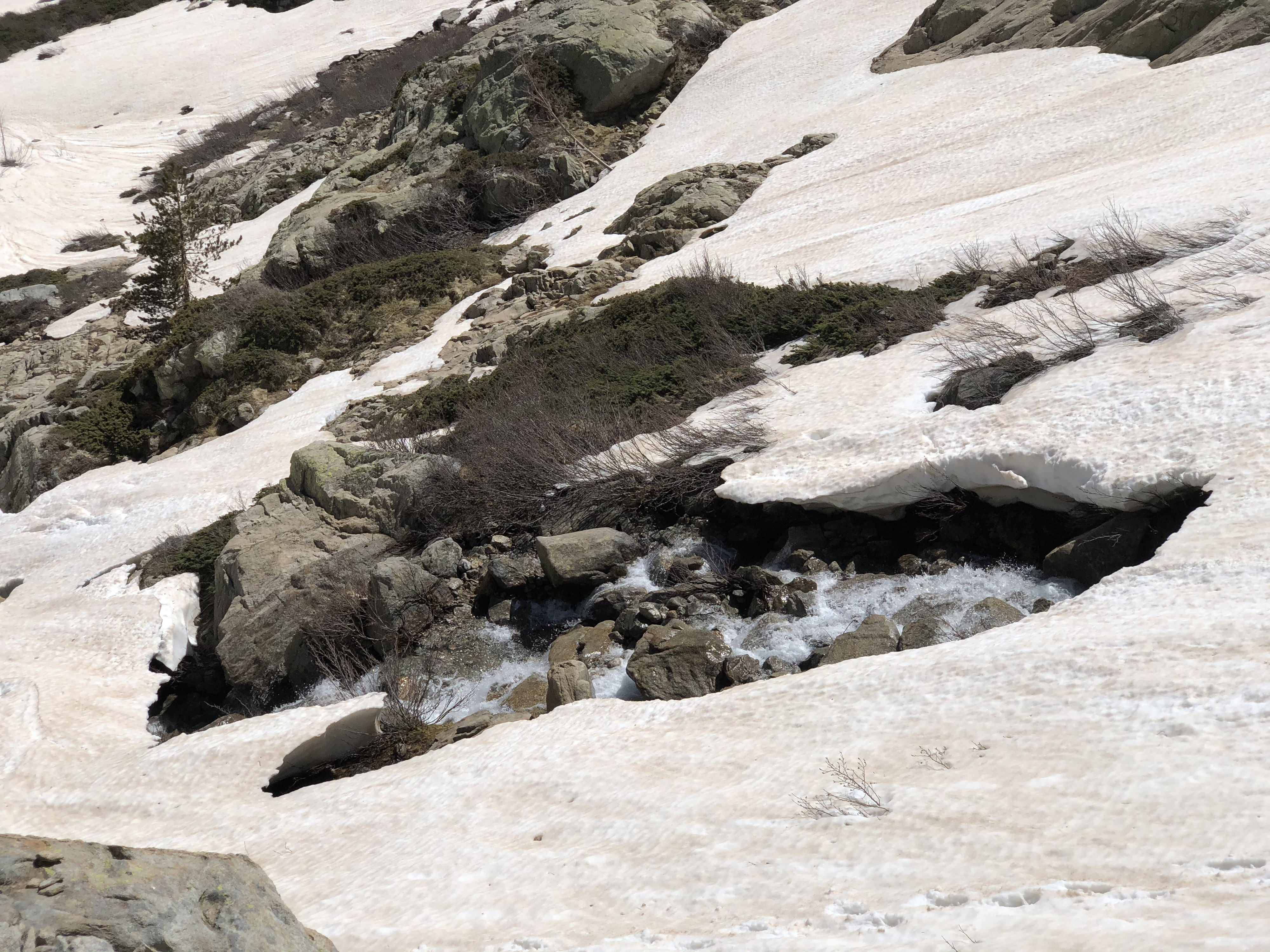 รูปถ่าย ฝรั่งเศส(France) คอร์สิคา(Corsica) ทะเลสาบเมโลและกาปีเตลโล(Lac de Melo et Capitello) 2021-06 251