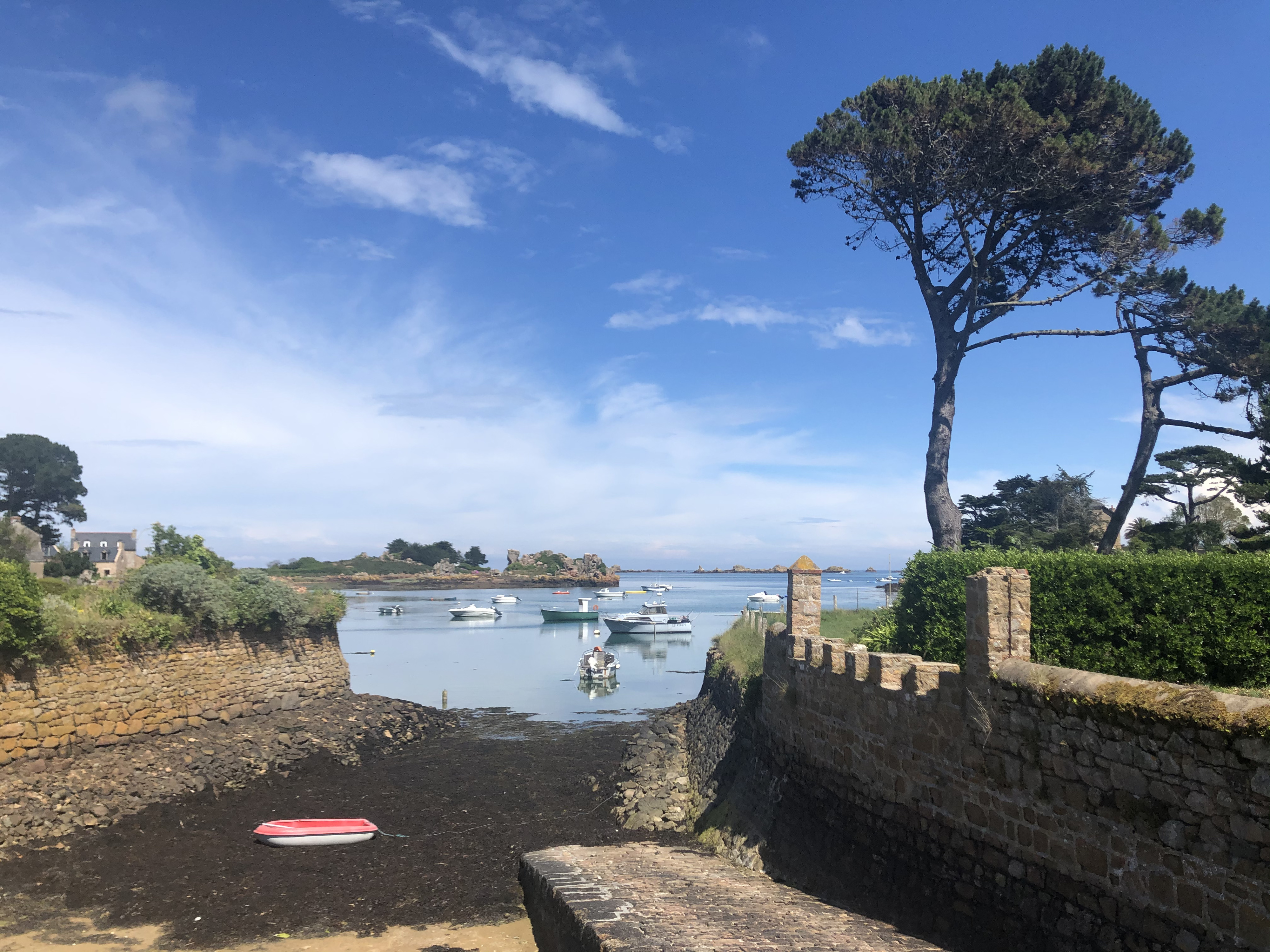 รูปถ่าย ฝรั่งเศส(France) เกาะเบรอา(Brehat Island) 2020-06 133