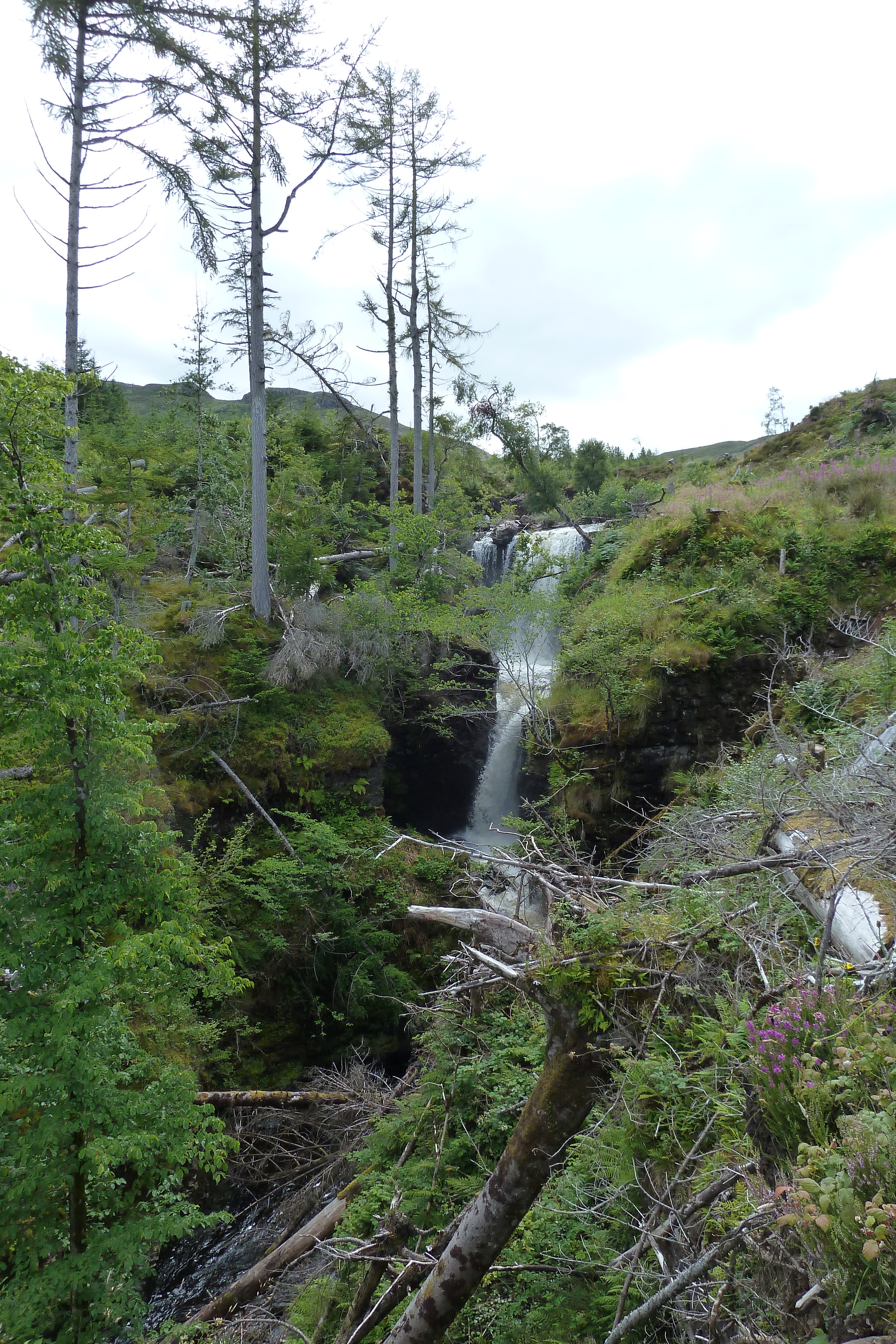 รูปถ่าย อังกฤษ(United Kingdom) สกอตแลนด์(Scotland) ทะเลสาบลอคมารี(Loch Maree) 2011-07 39
