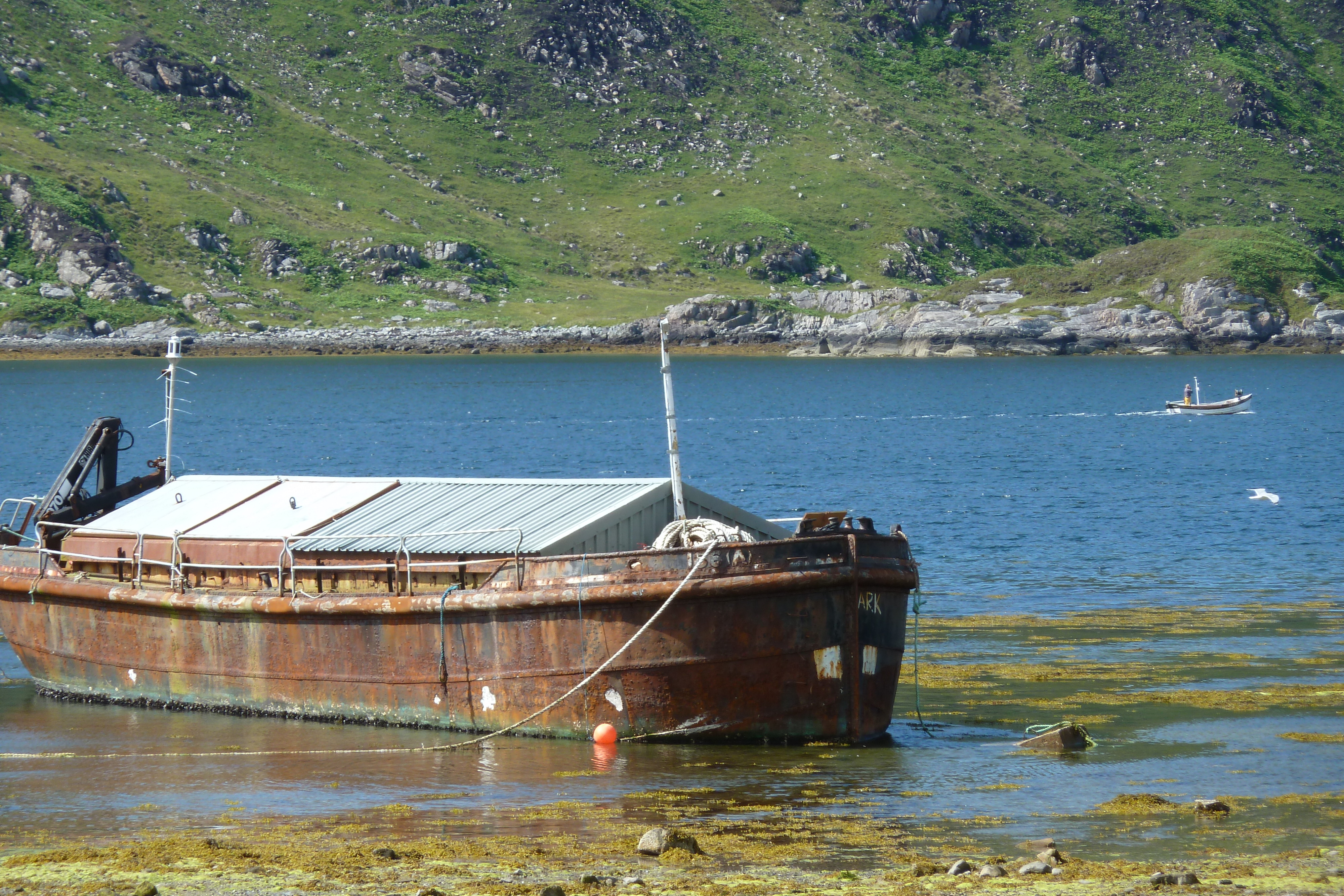รูปถ่าย อังกฤษ(United Kingdom) สกอตแลนด์(Scotland) เซเลน(Salen) 2011-07 6