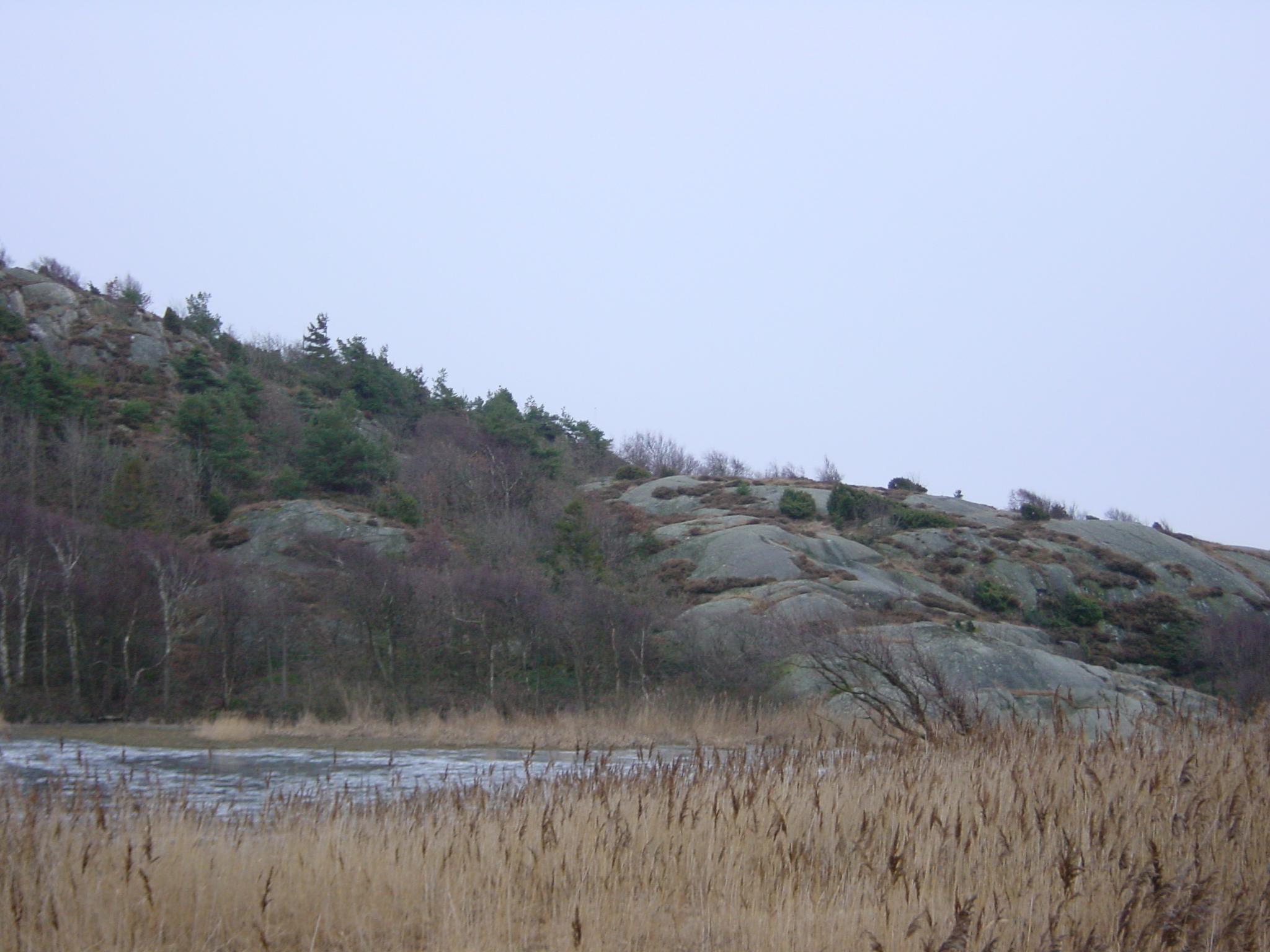 รูปถ่าย สวีเดน(Sweden) โกเธนเบิร์ก(Gothenburg) 2003-01 42