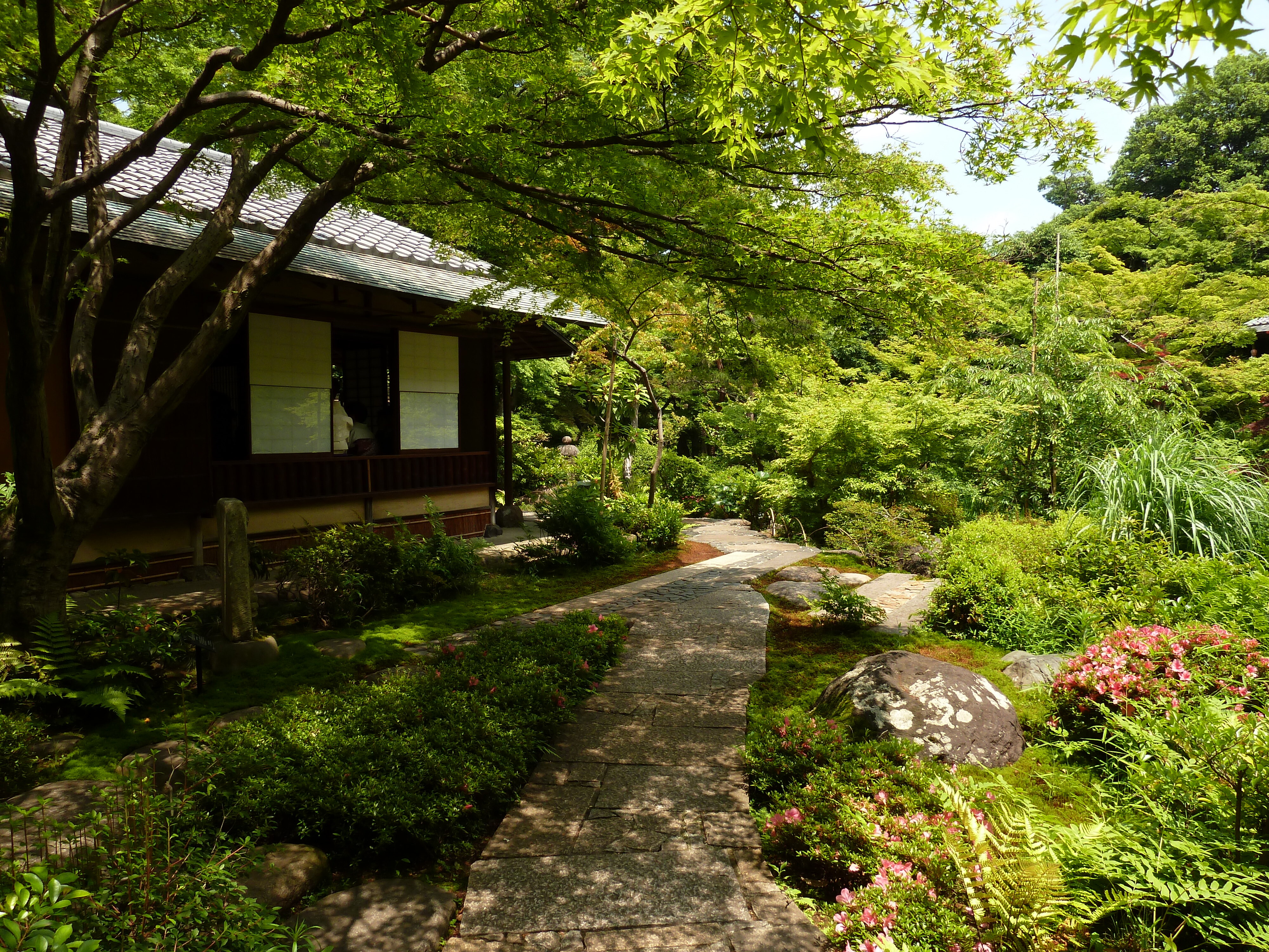 รูปถ่าย ญี่ปุ่น(Japan) 2010-06 25