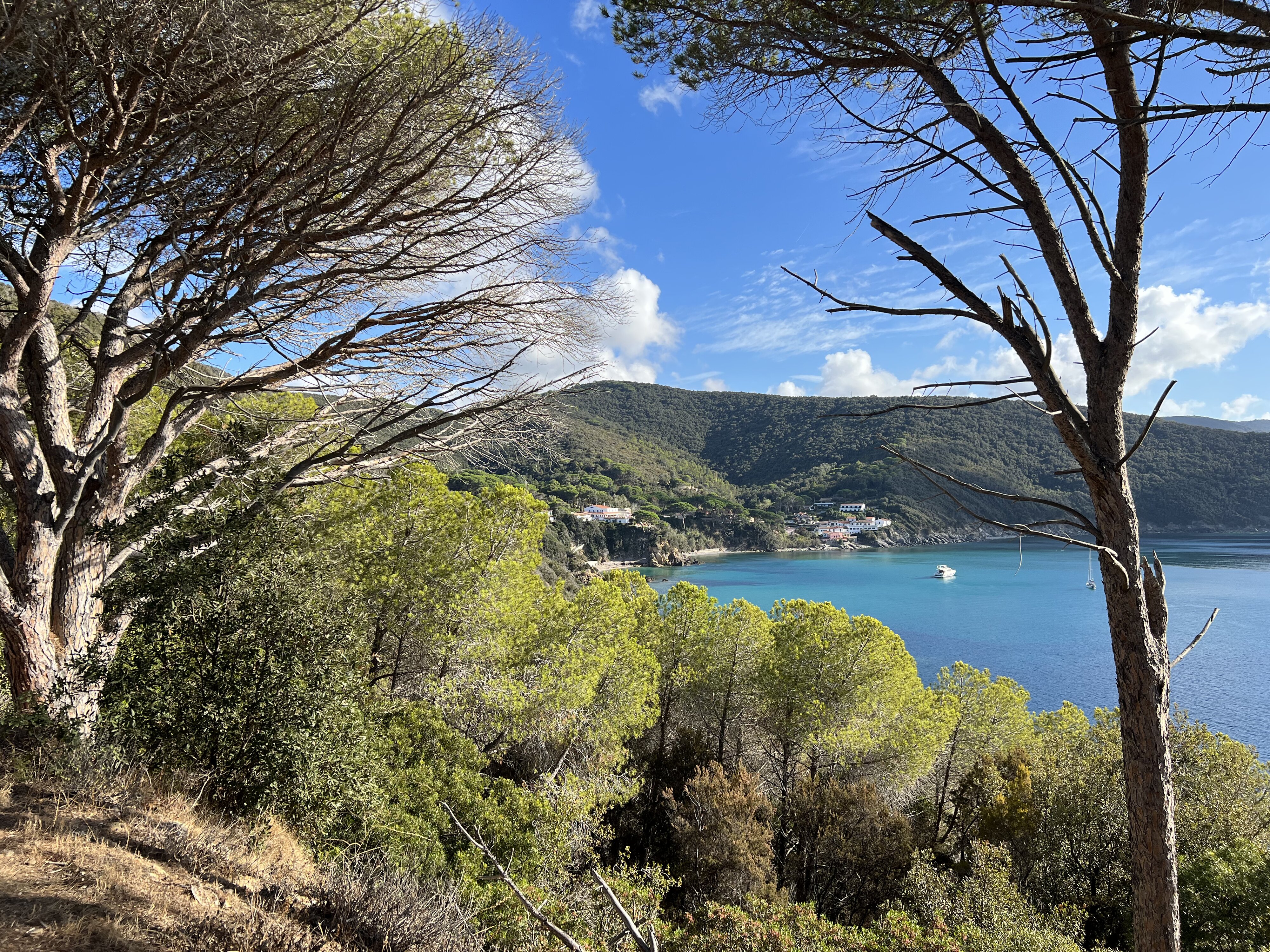 รูปถ่าย อิตาลี(Italy) เกาะเอลบา(Isola d'Elba) 2021-09 76