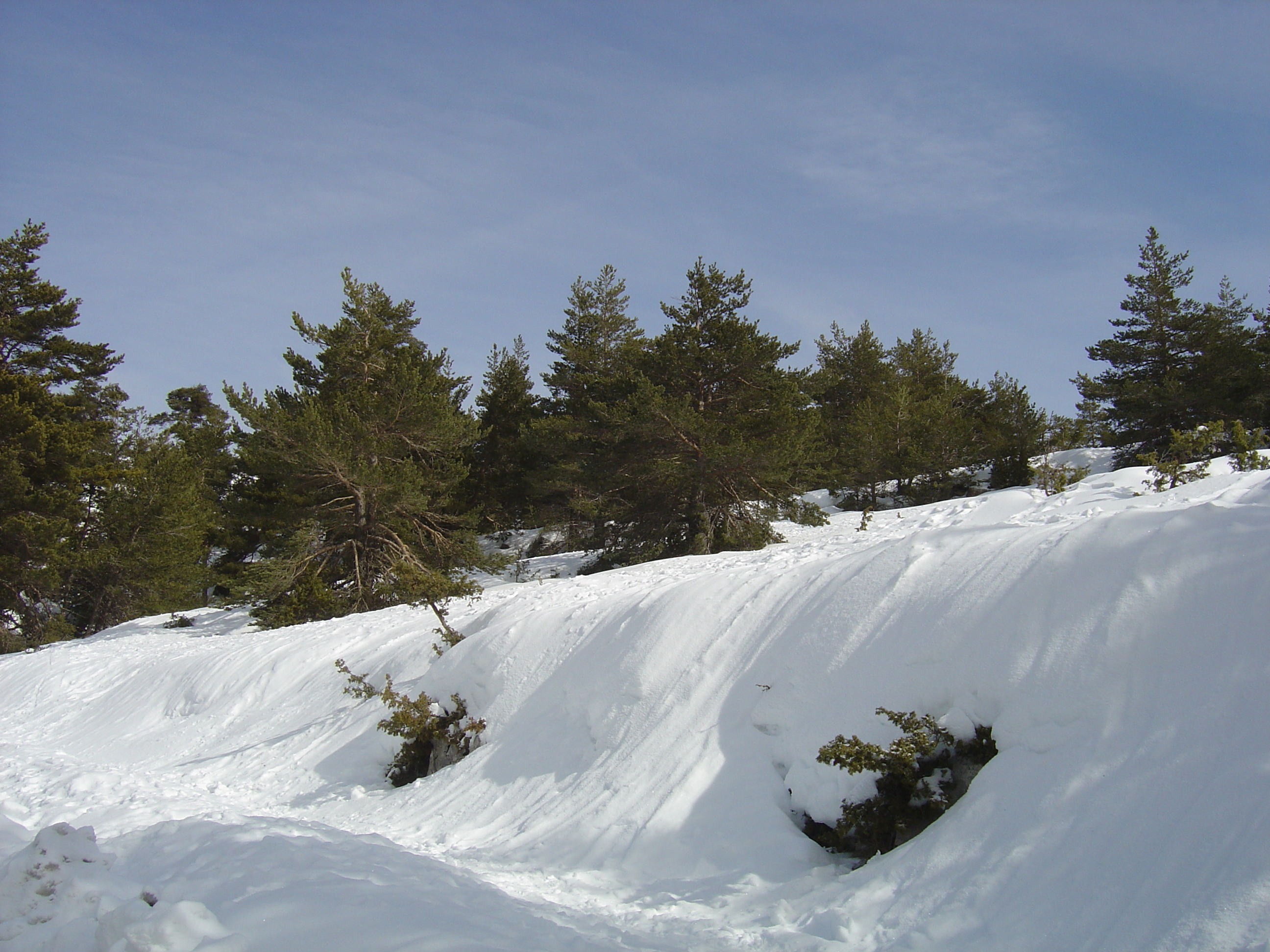 รูปถ่าย ฝรั่งเศส(France) เกรโอลีแยร์(Greolieres) 2006-02 42
