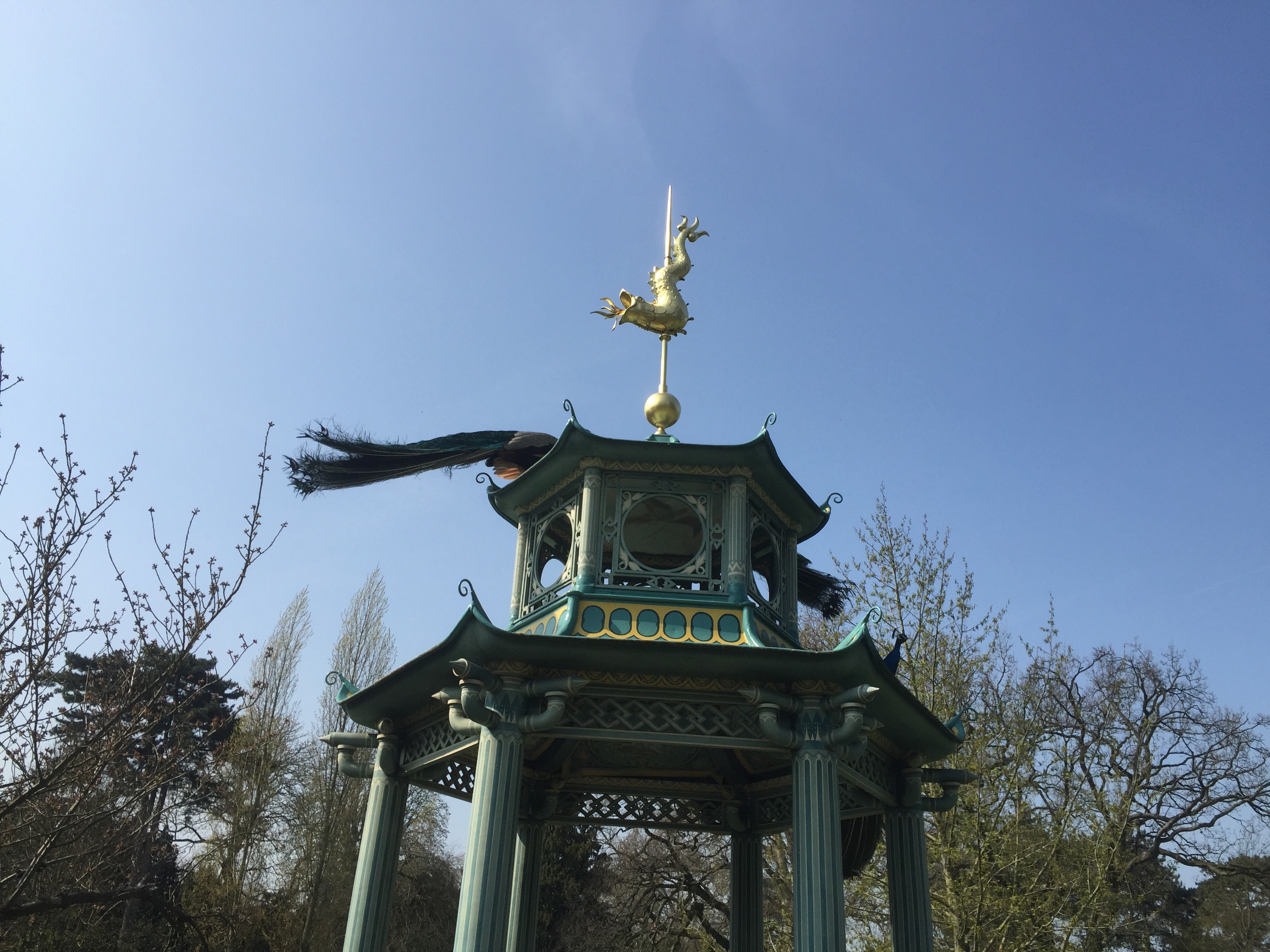 รูปถ่าย ฝรั่งเศส(France) ปารีส(Paris) บากาแตล(Bagatelles) 2017-03 30