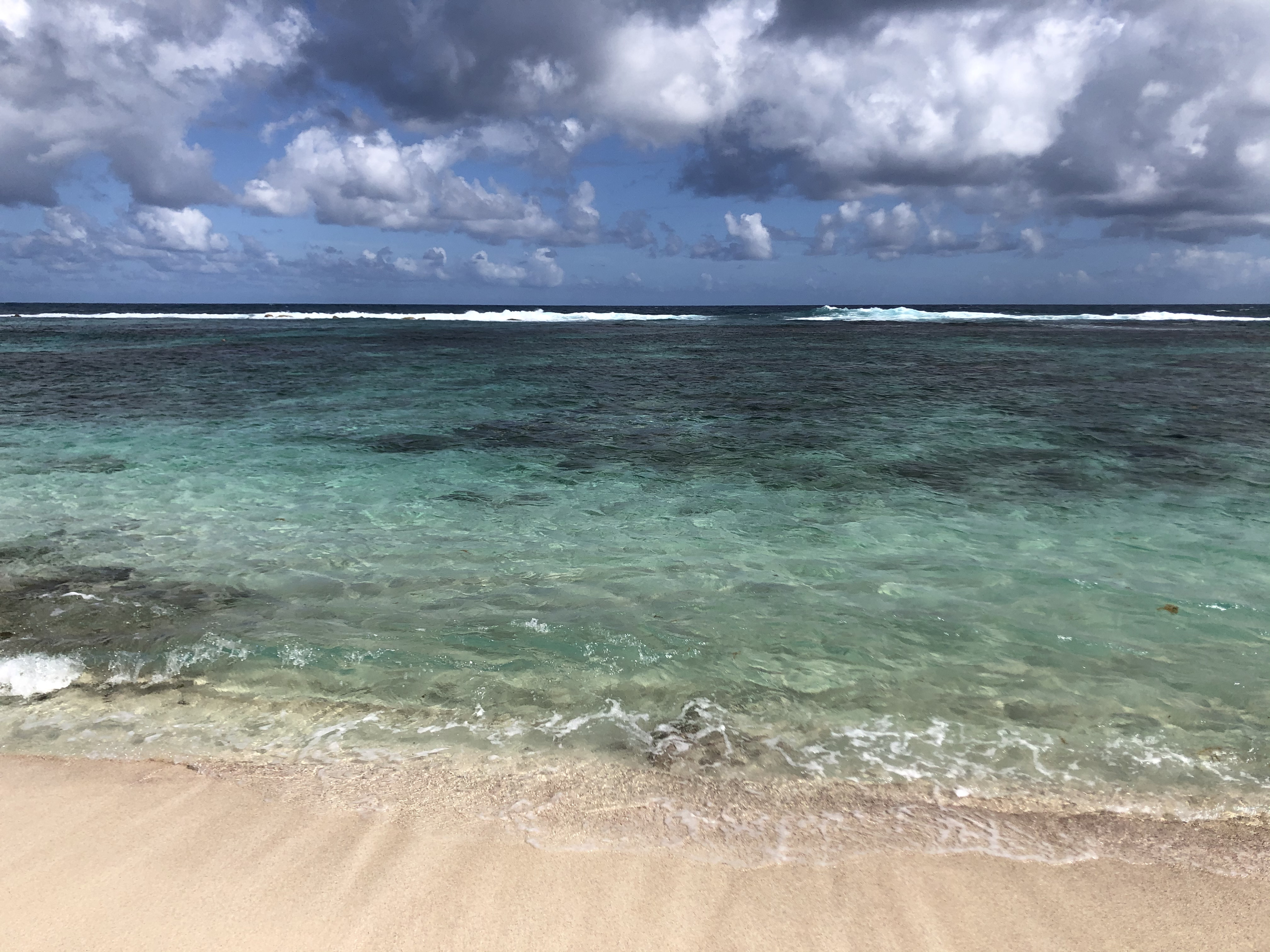 รูปถ่าย กวาเดอลูป(Guadeloupe) หาดกร็องด์อ็องส์เดซาลีน(Grande Anse des Salines Beach) 2021-02 9