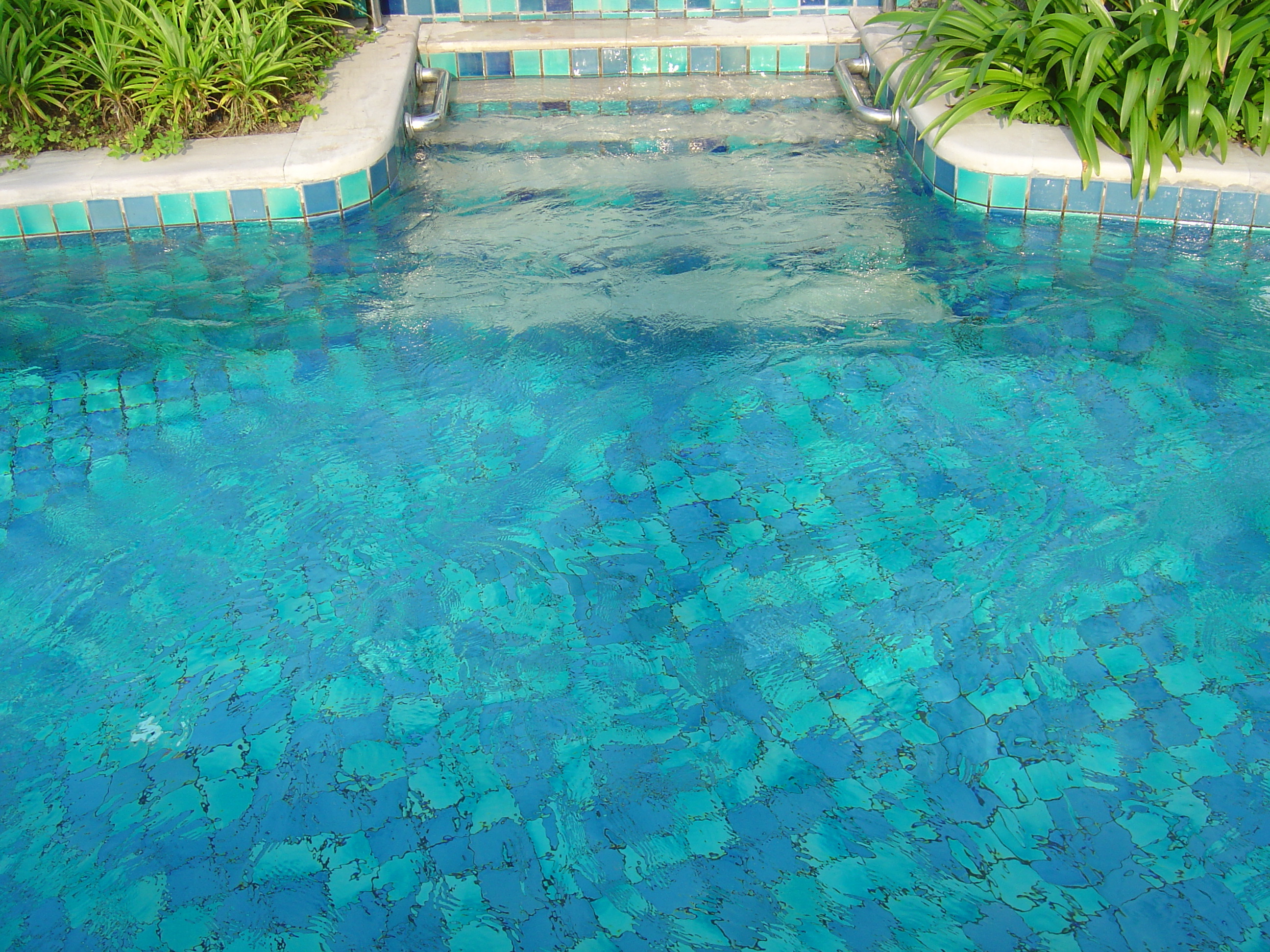 รูปถ่าย ไทย(Thailand) เขาหลัก(Khao Lak) โรงแรมเลอเมอริเดียน เขาหลัก(Meridien Khao Lak Hotel) 2005-12 336