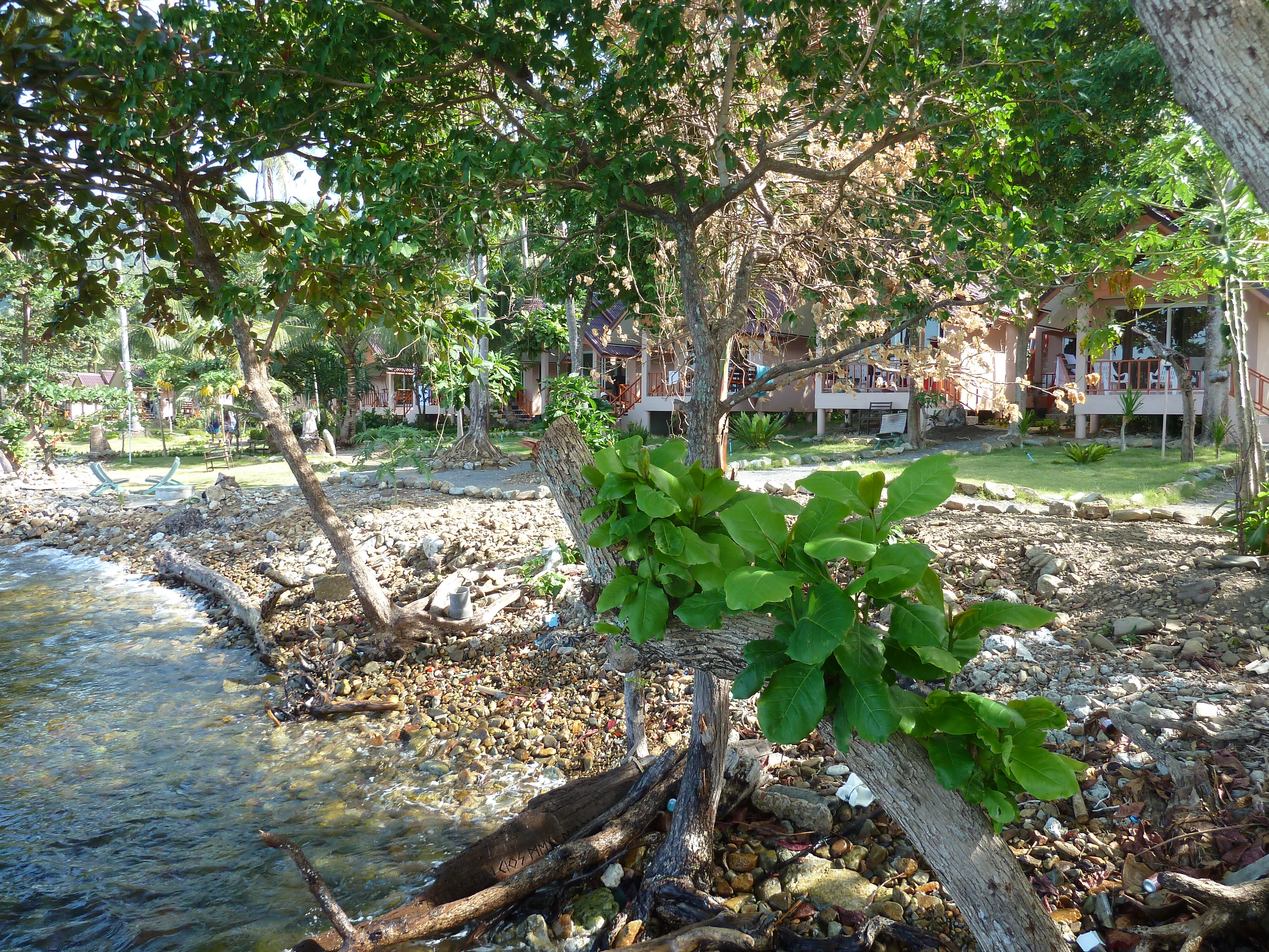 รูปถ่าย ไทย(Thailand) เกาะช้าง(Ko Chang) 2011-12 13