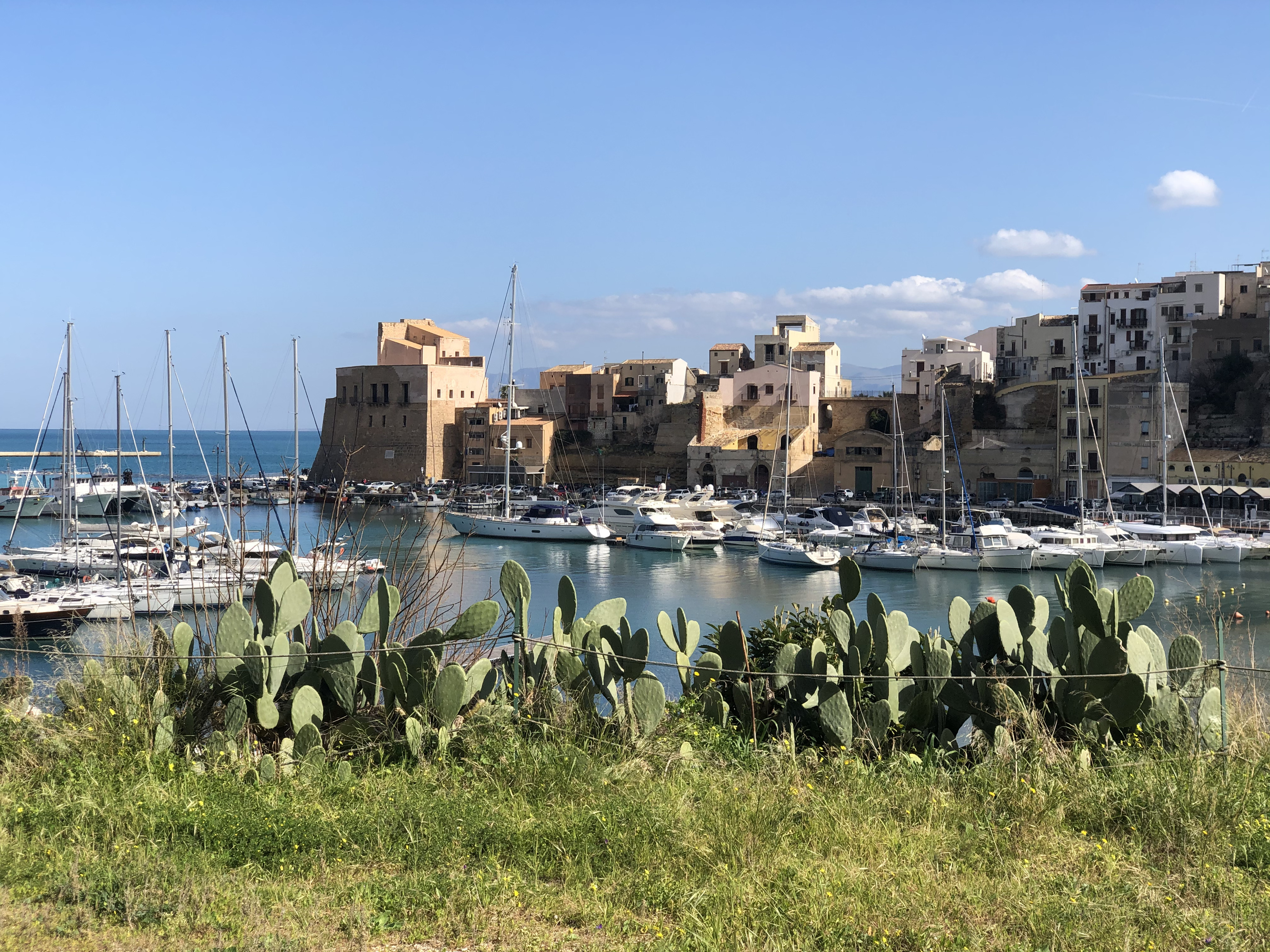 รูปถ่าย อิตาลี(Italy) ซิซิลี(Sicily) กัสเตลลัมมาเรเดลโกลโฟ(Castellammare del Golfo) 2020-02 26