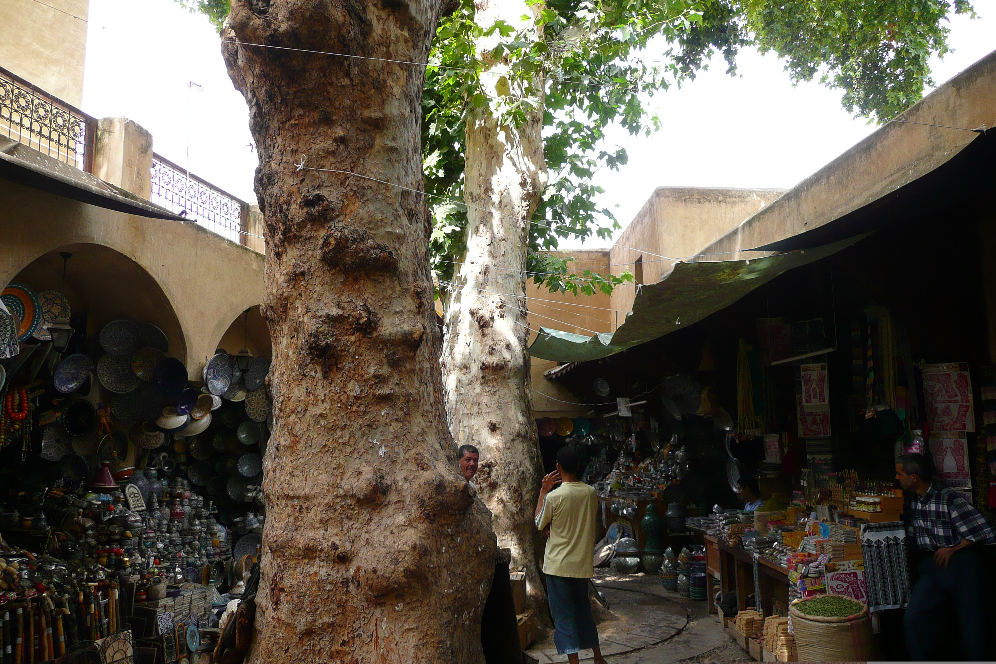 รูปถ่าย โมร็อกโก(Morocco) เฟส(Fes) 2008-07 27