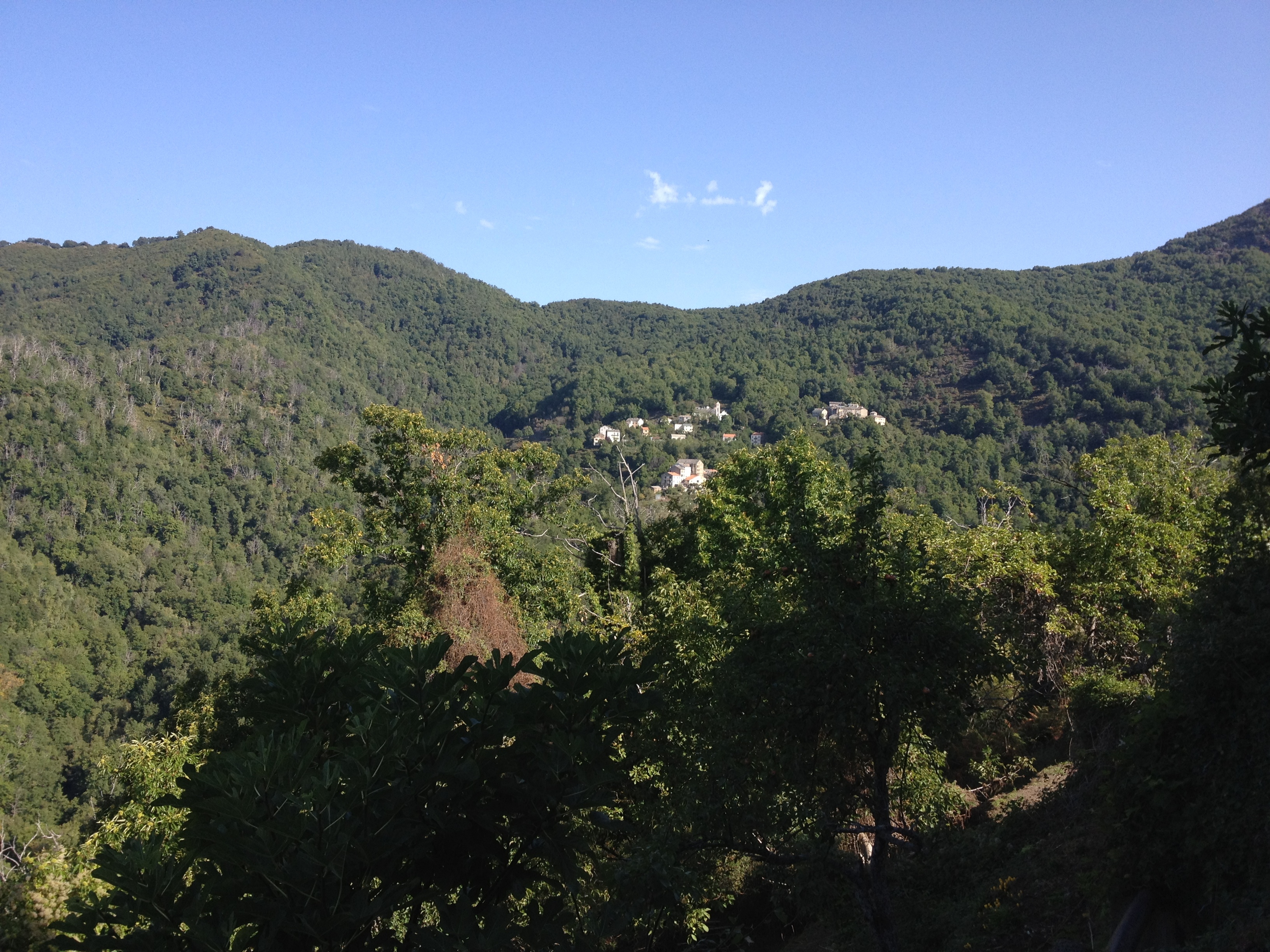 รูปถ่าย ฝรั่งเศส(France) คอร์สิคา(Corsica) เฟลเช(Felce) 2012-09 9