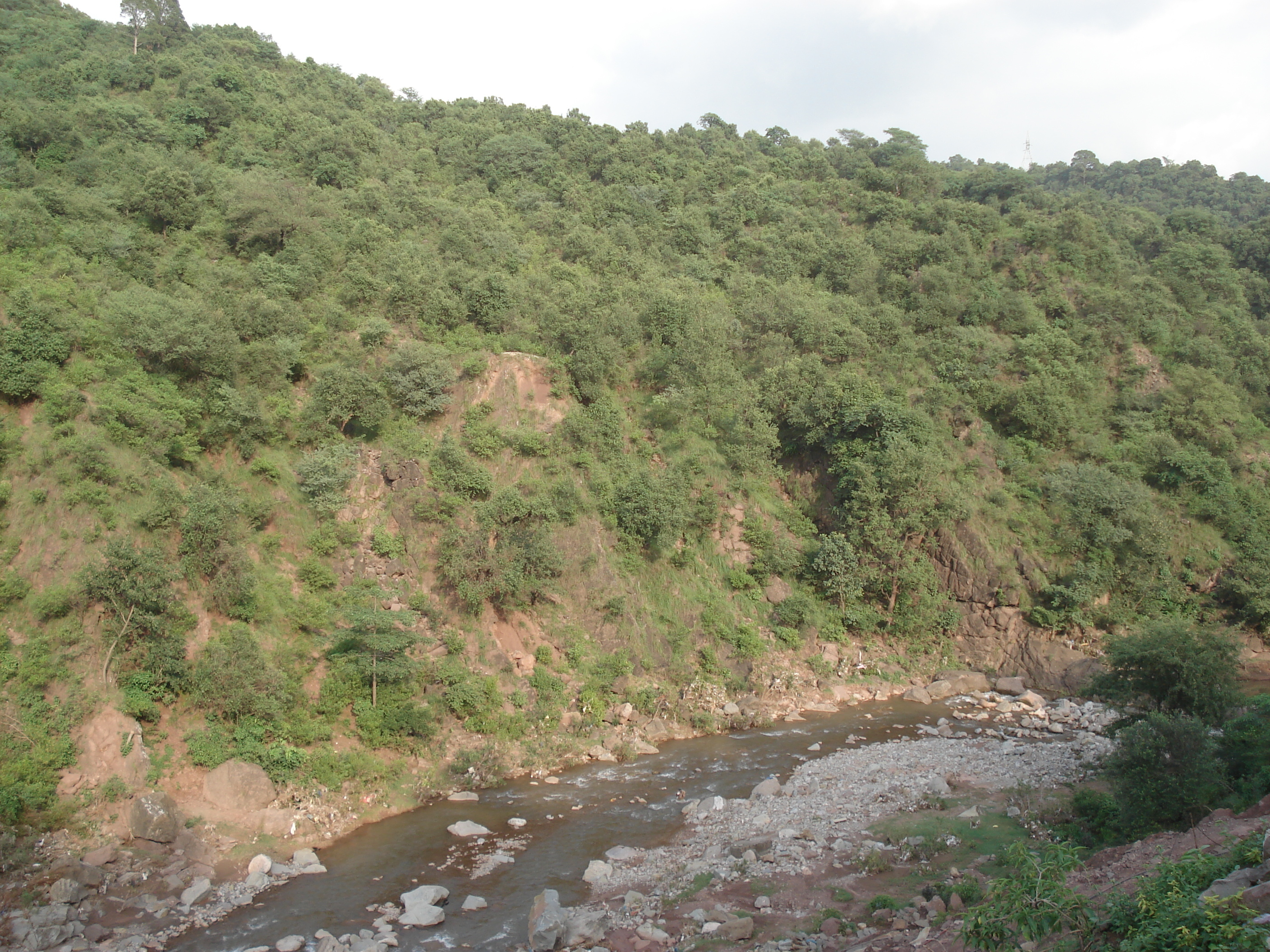 รูปถ่าย ปากีสถาน(Pakistan) ถนนจากอิสลามาบัดไปมัรรี(Islamabad to Murree road) 2006-08 20