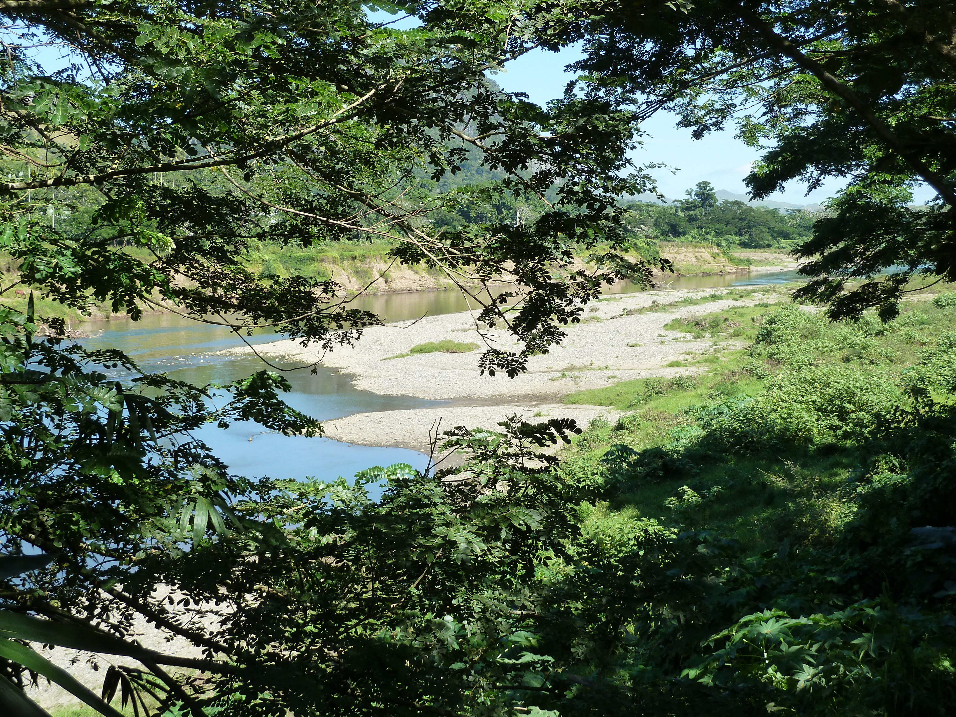 รูปถ่าย ฟิจิ(Fiji) แม่น้ำซิงกาโตกา(Sigatoka river) 2010-05 62