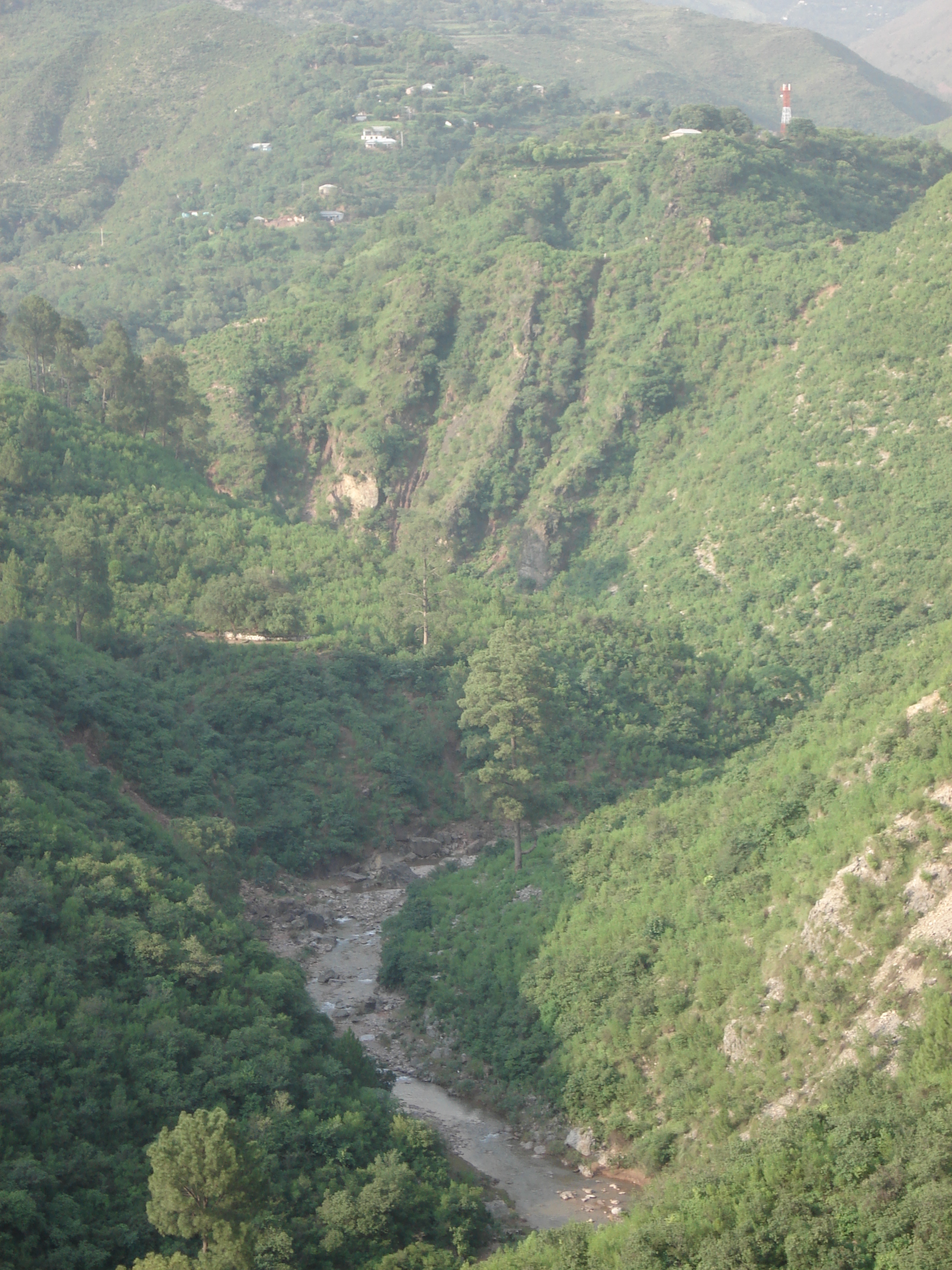รูปถ่าย ปากีสถาน(Pakistan) ถนนจากอิสลามาบัดไปมัรรี(Islamabad to Murree road) 2006-08 128