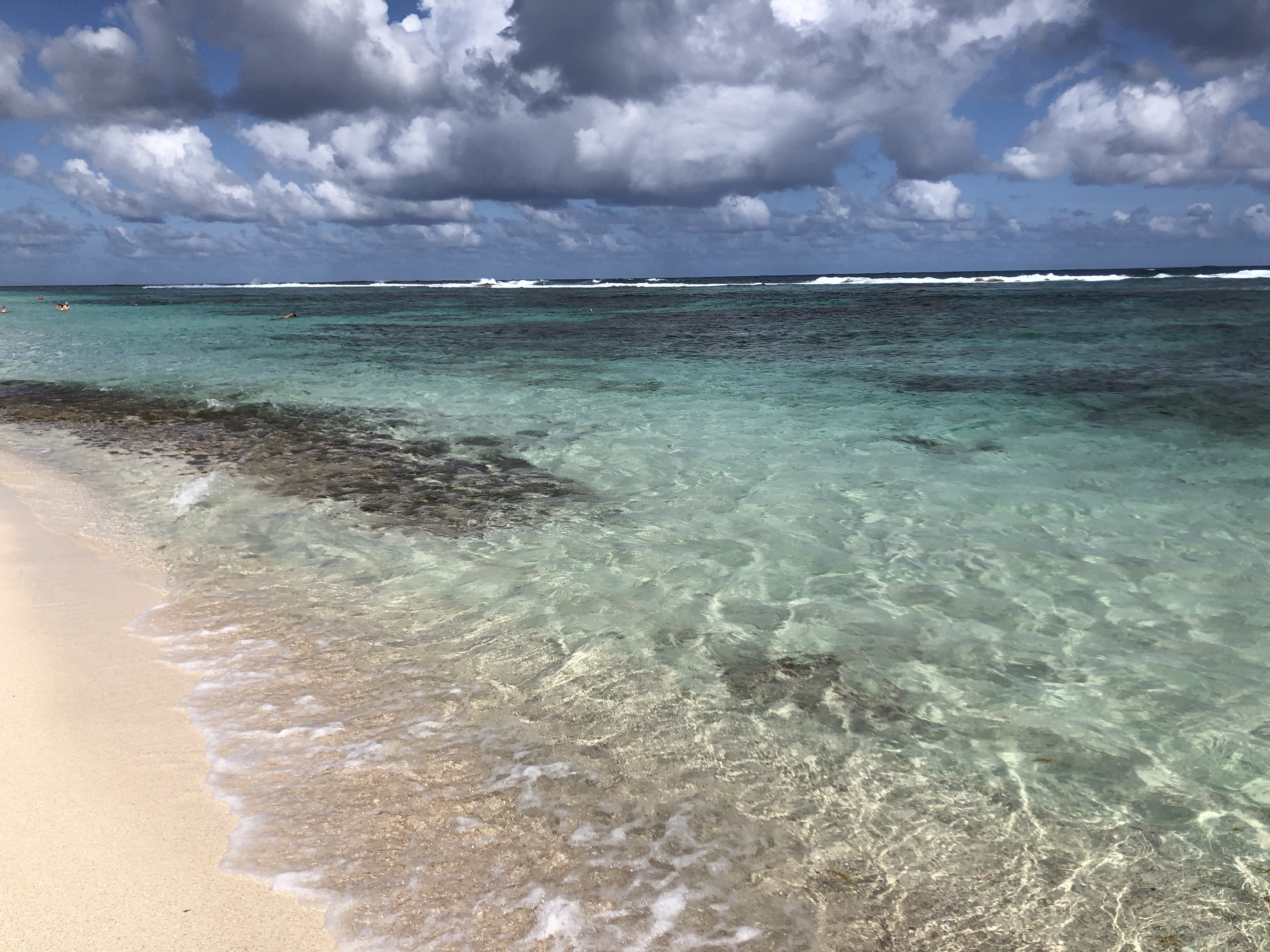 รูปถ่าย กวาเดอลูป(Guadeloupe) หาดกร็องด์อ็องส์เดซาลีน(Grande Anse des Salines Beach) 2021-02 1
